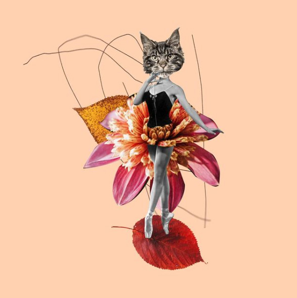 Ирина Цудикова