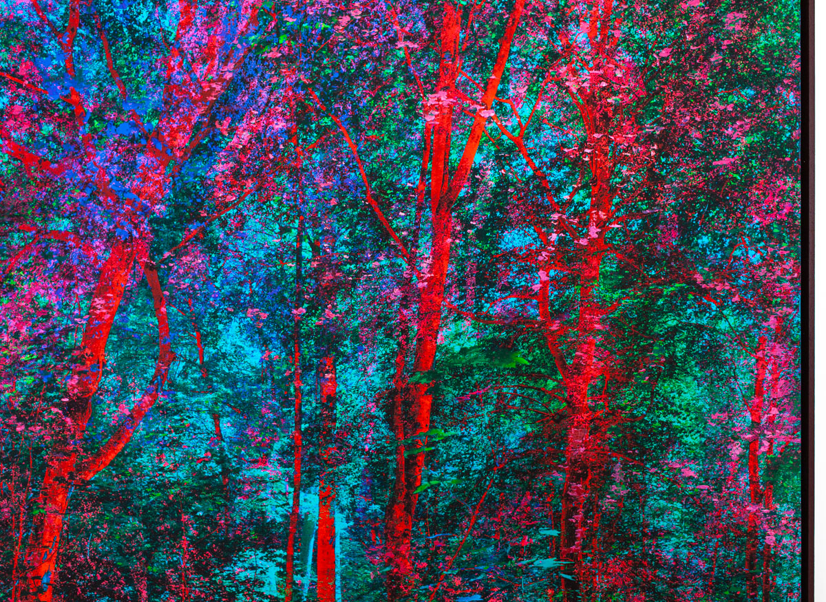 "Les paradis", vert et violet, 85x90cm - 2022