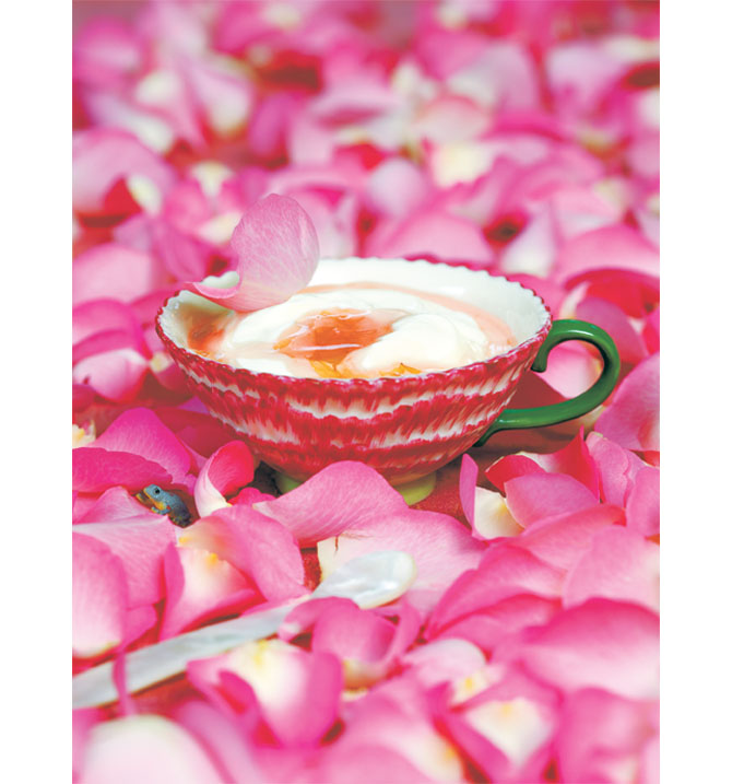 Leon: Naturally Fast Food 