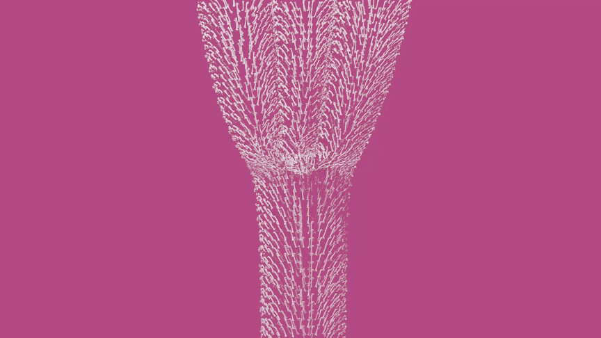 Sky Dancer made of bones