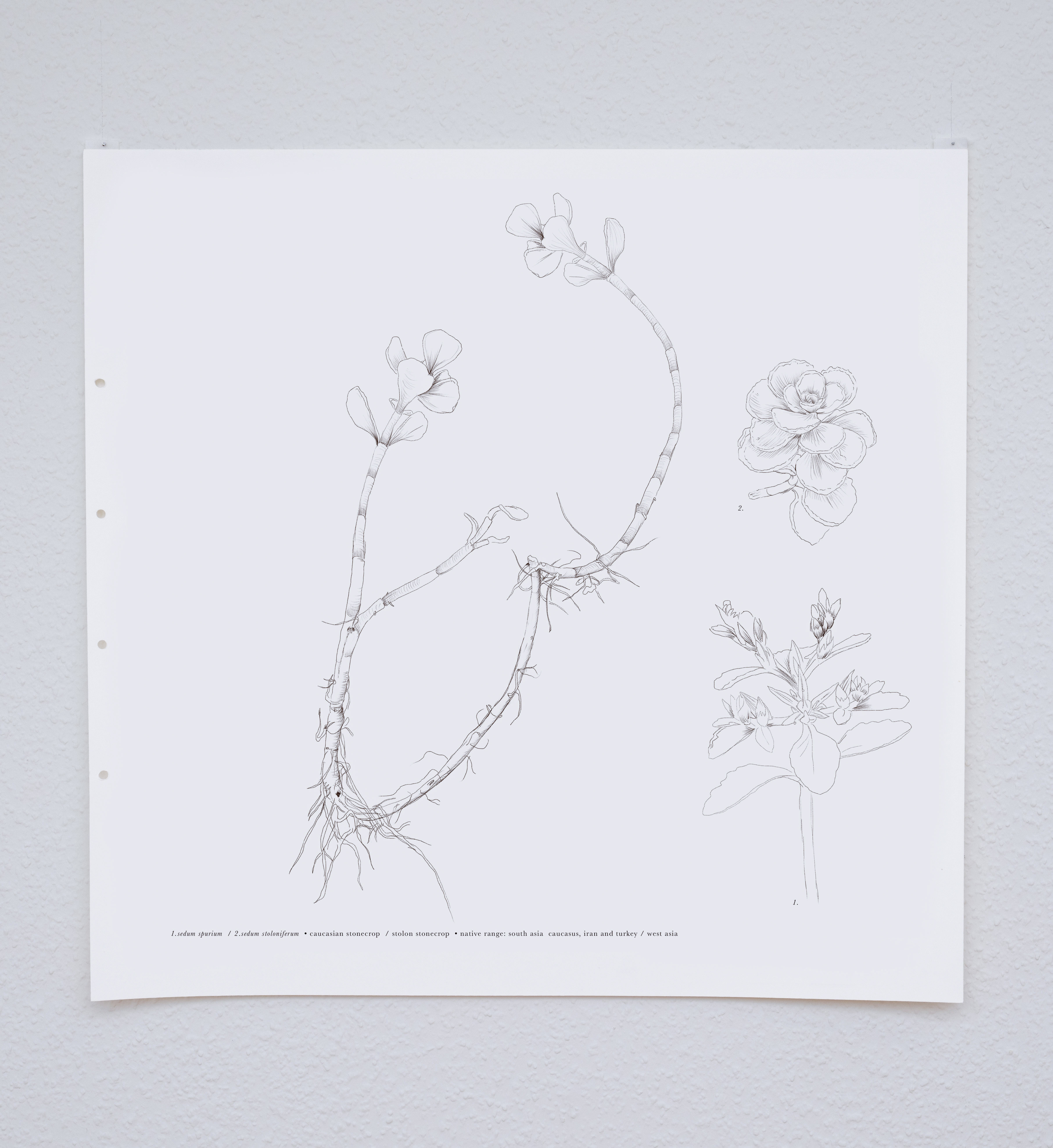 Common Ground I on display at Beletag Art Space in Zurich, 2025