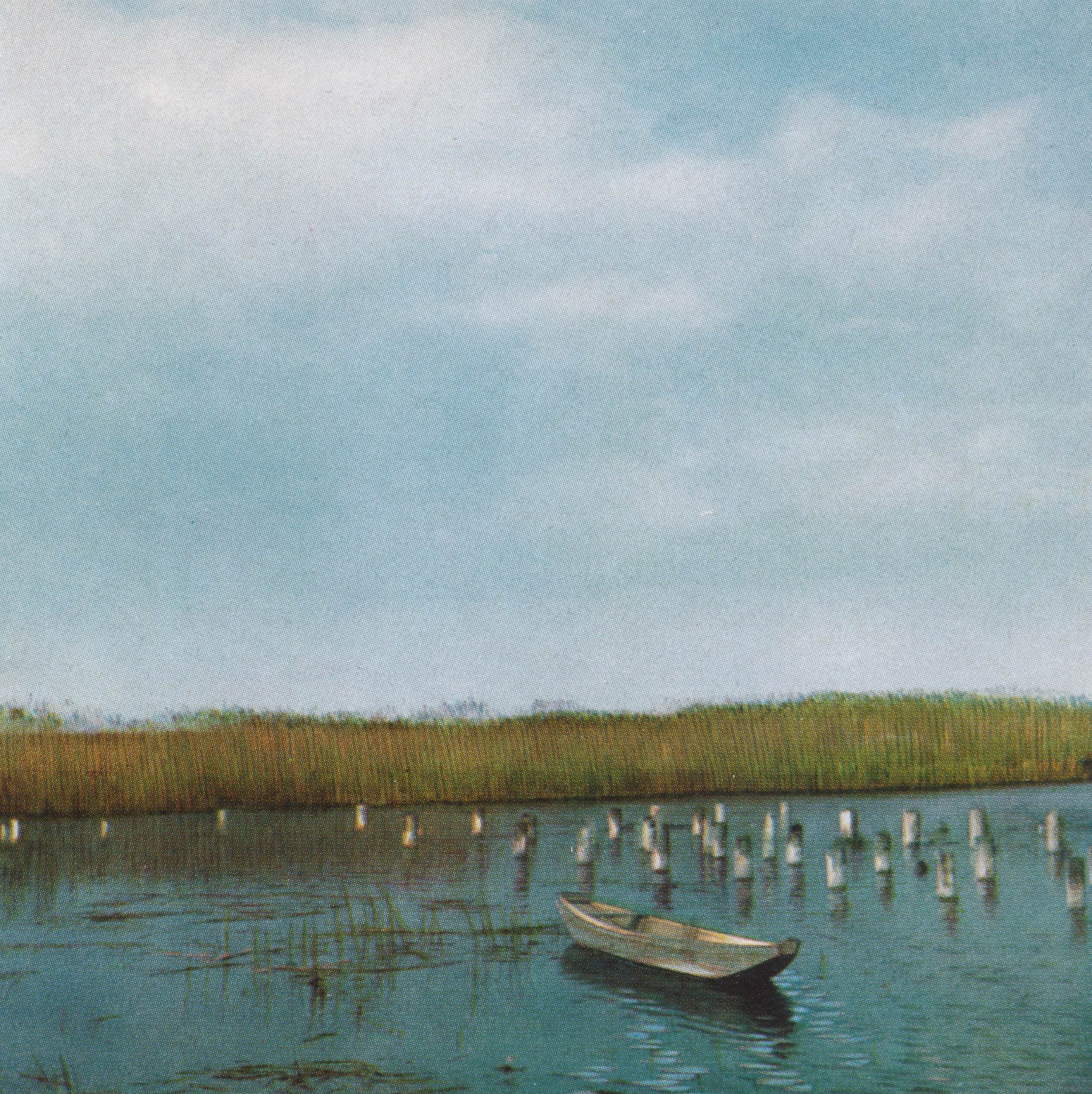 2/3 &mdash; CIRCLING WRIST