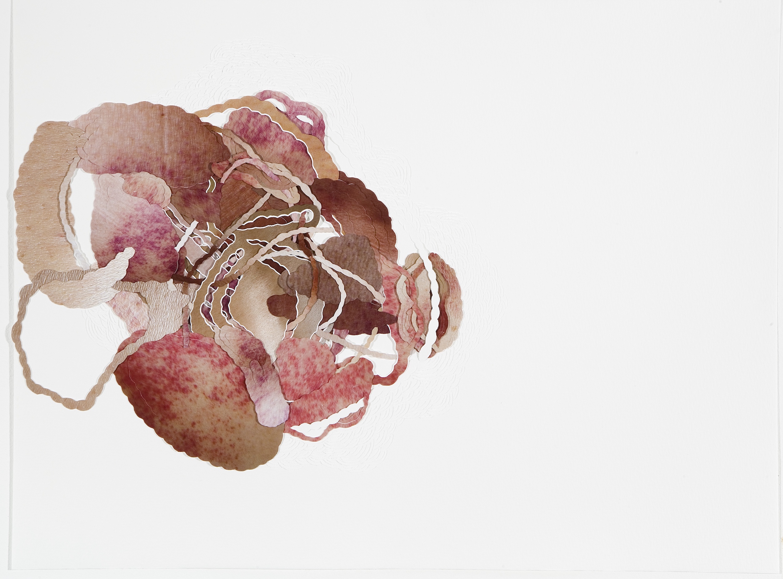  Untitled, 2010 . Cuts and carvings on paper and photographs . 40 x 50 cm