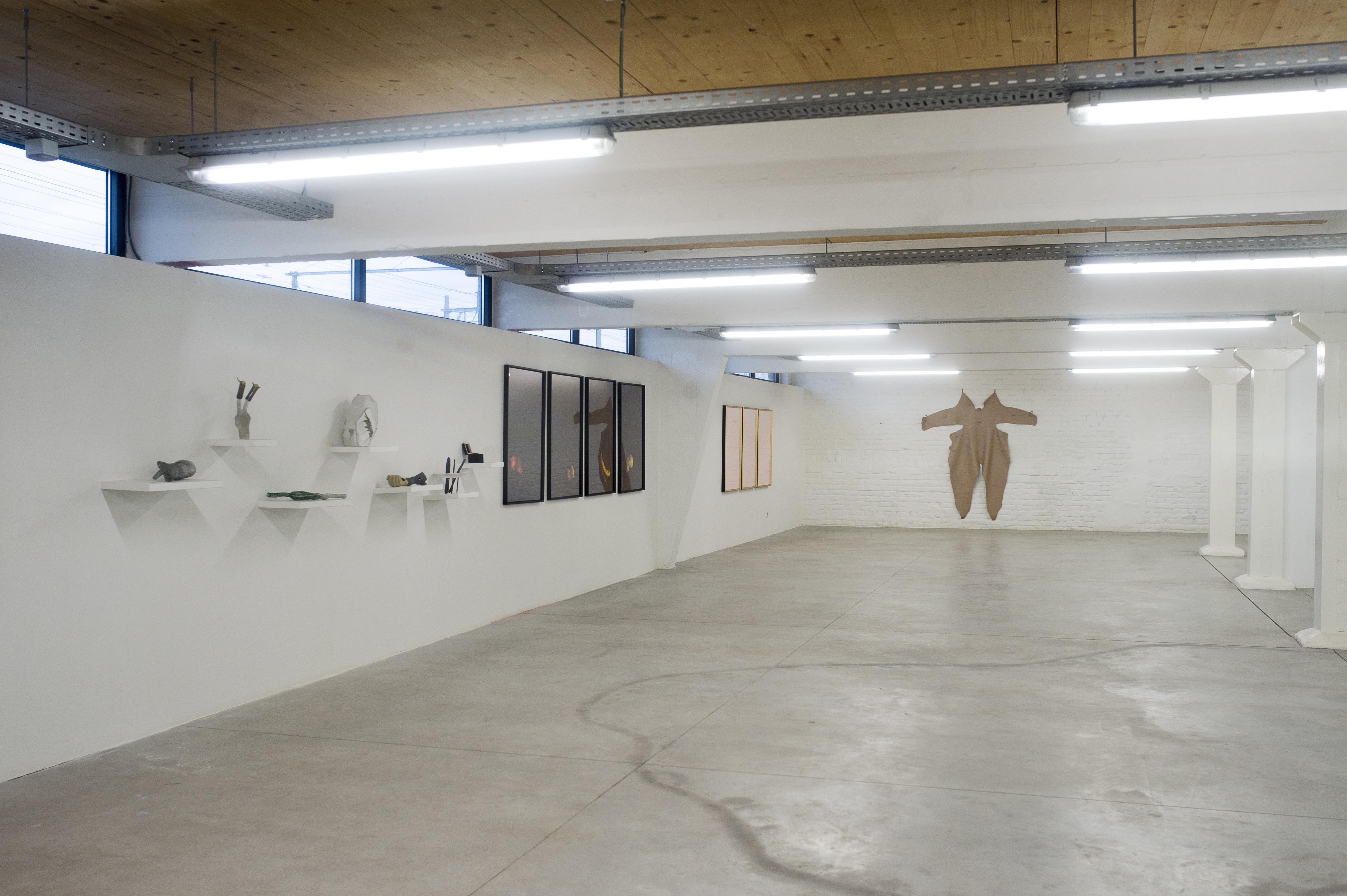 installation view of the exhibition