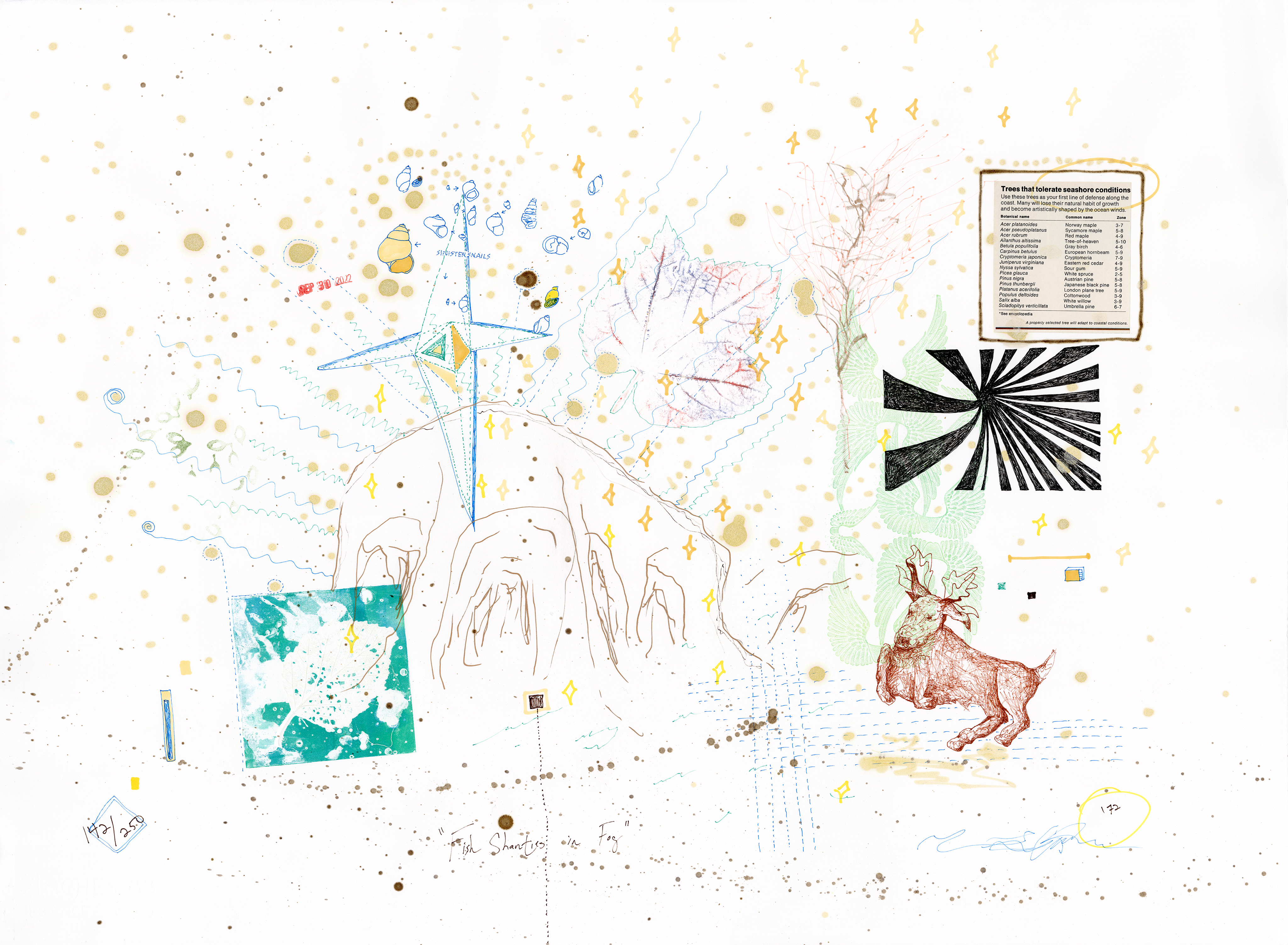 Drawing 48/56 from 56 days at the Dome House 22.5 x 30 inches, ink, Chine-collé, etching and stamps on Arches 88 paper- SOLD