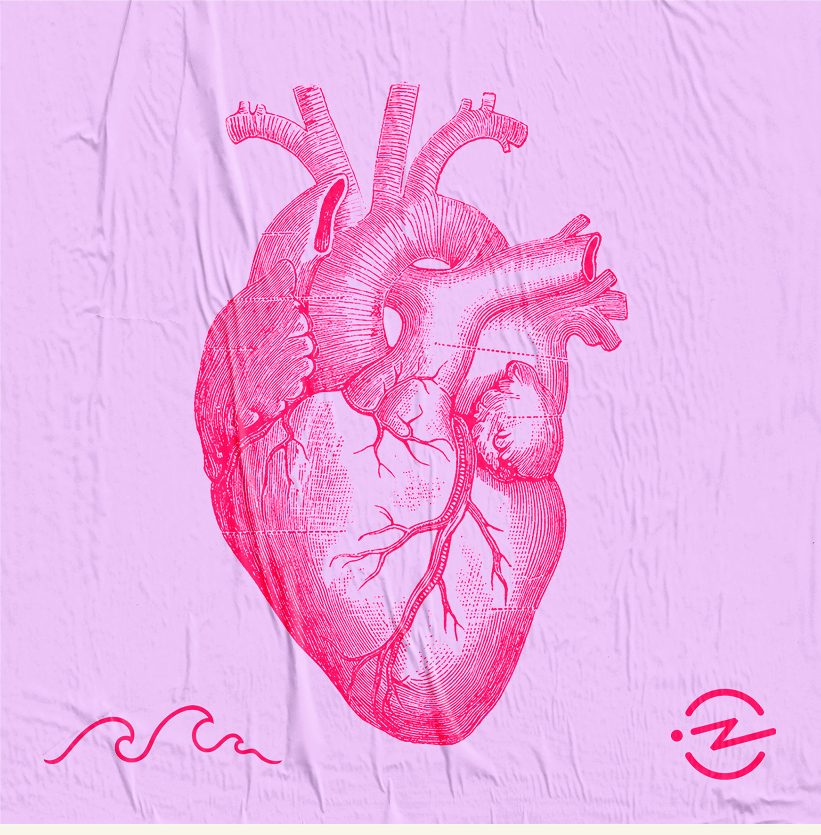 clip art of human anatomical heart in magenta against a lavender background