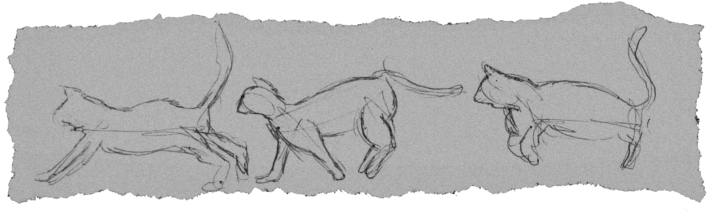 gesture drawings sketchbook | 2022