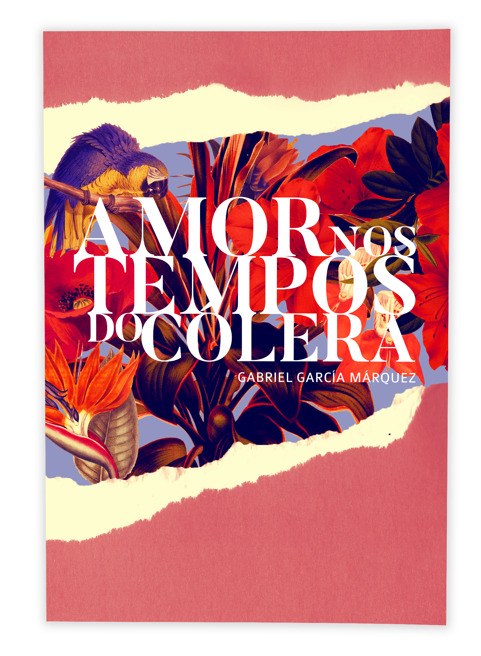 Amor nos Tempos do C&oacute;lera