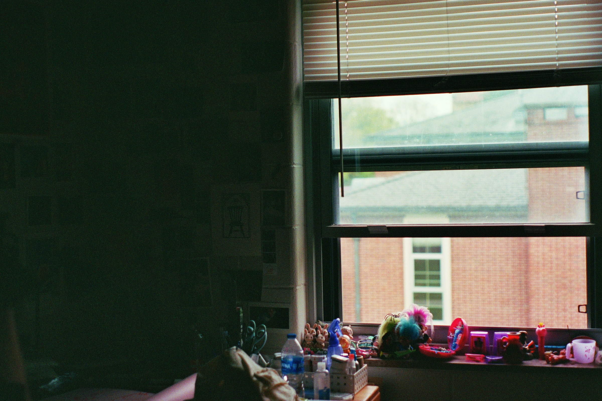 "Windowsill", analog photo (2023)