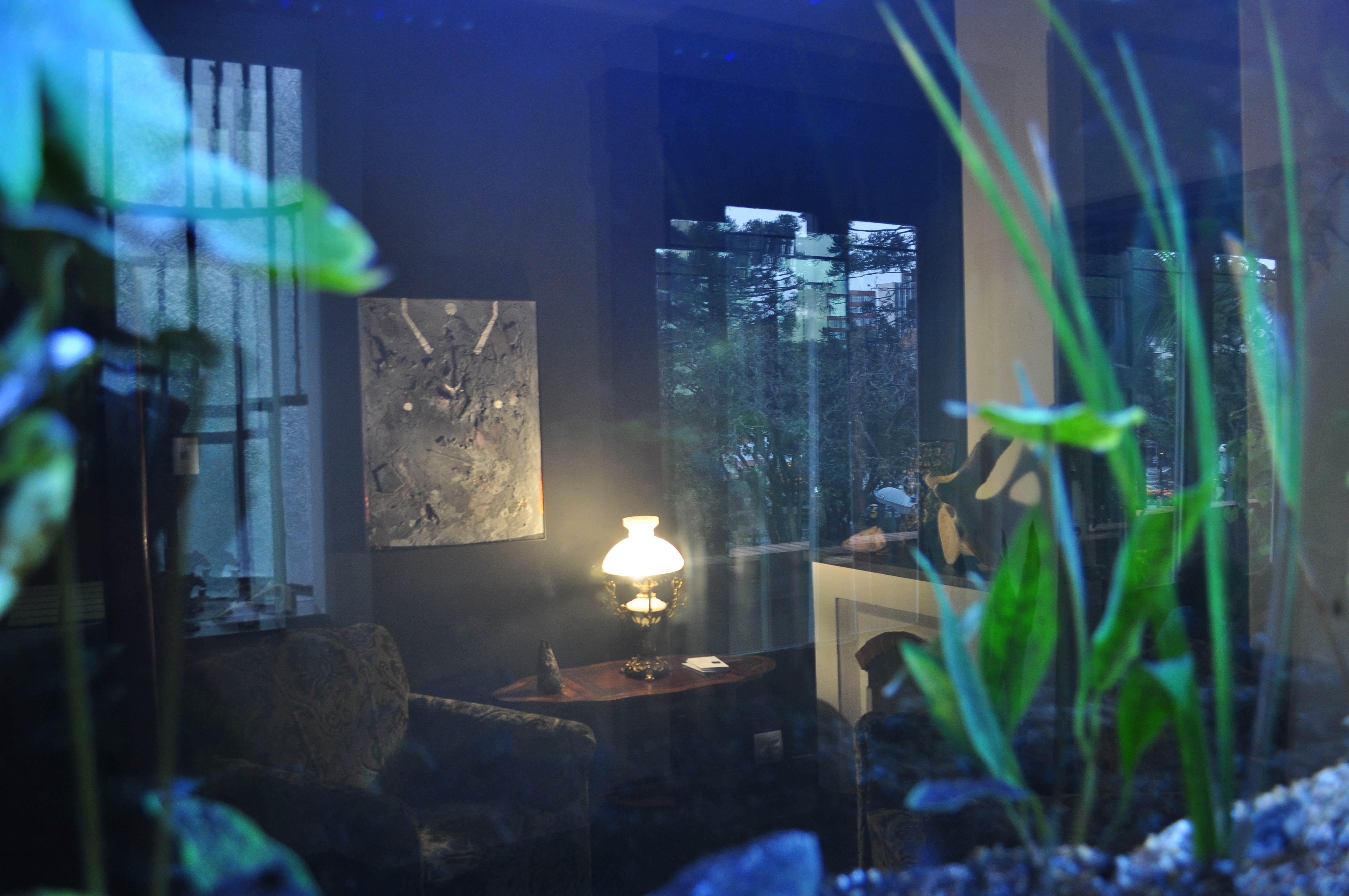 Instalação Panthalassa _ Exposição Cada vez mais perto