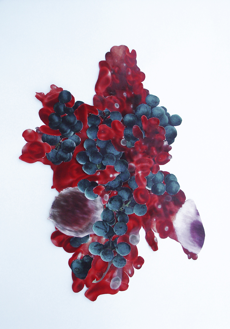 Dionysos arrive, 2009. Projet pour une pochette de disque.