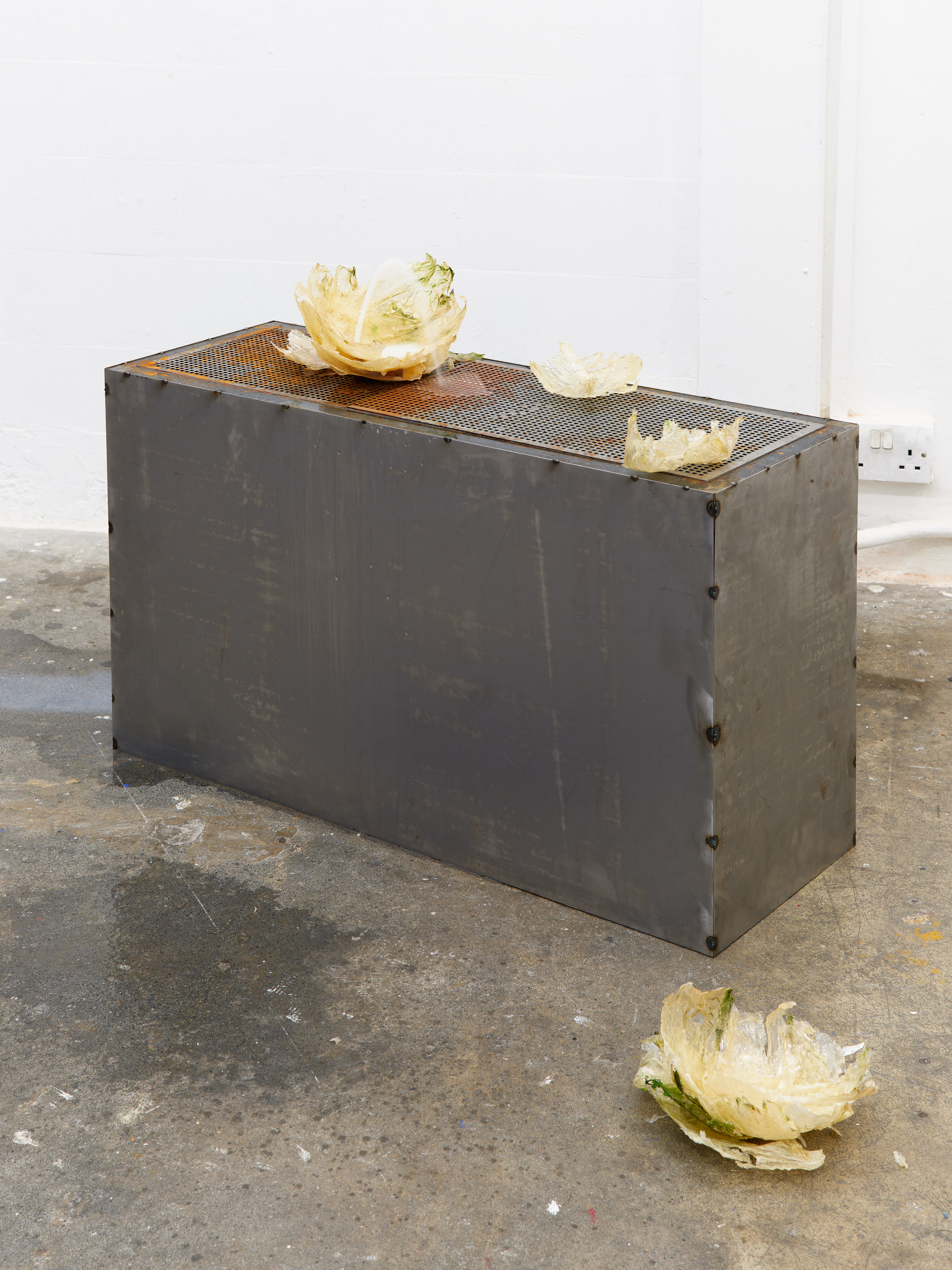 The Fountain of Youth, 2023, Iceberg Lettuce, eco-resin, milk and steel.Jasmine Pajdak[photo credit: M8R8S Studio]
