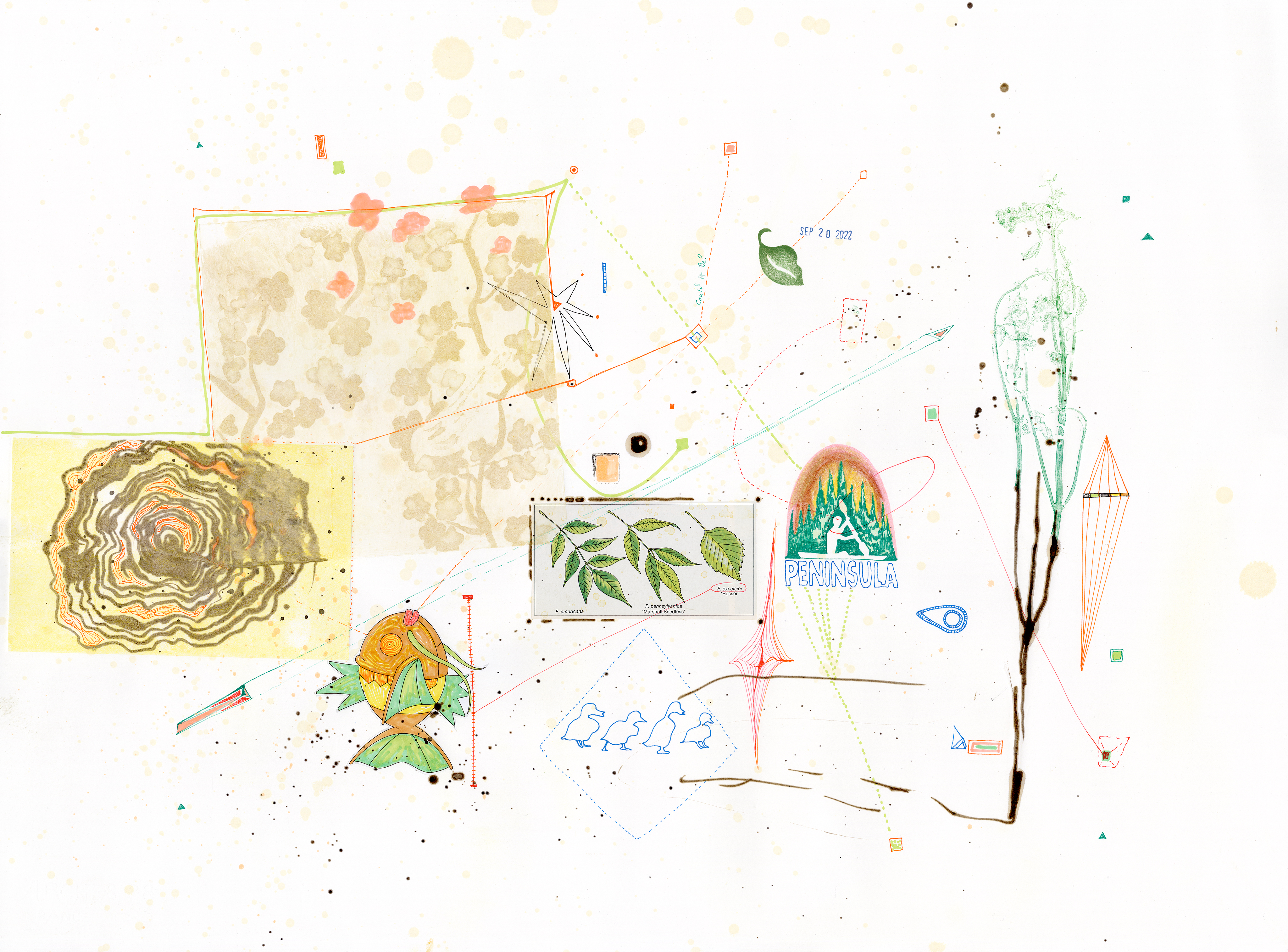 Drawing 38/56 from 56 days at the Dome House 22.5 x 30 inches, ink, Chine-collé, etching and stamps on Arches 88 paper - BUY