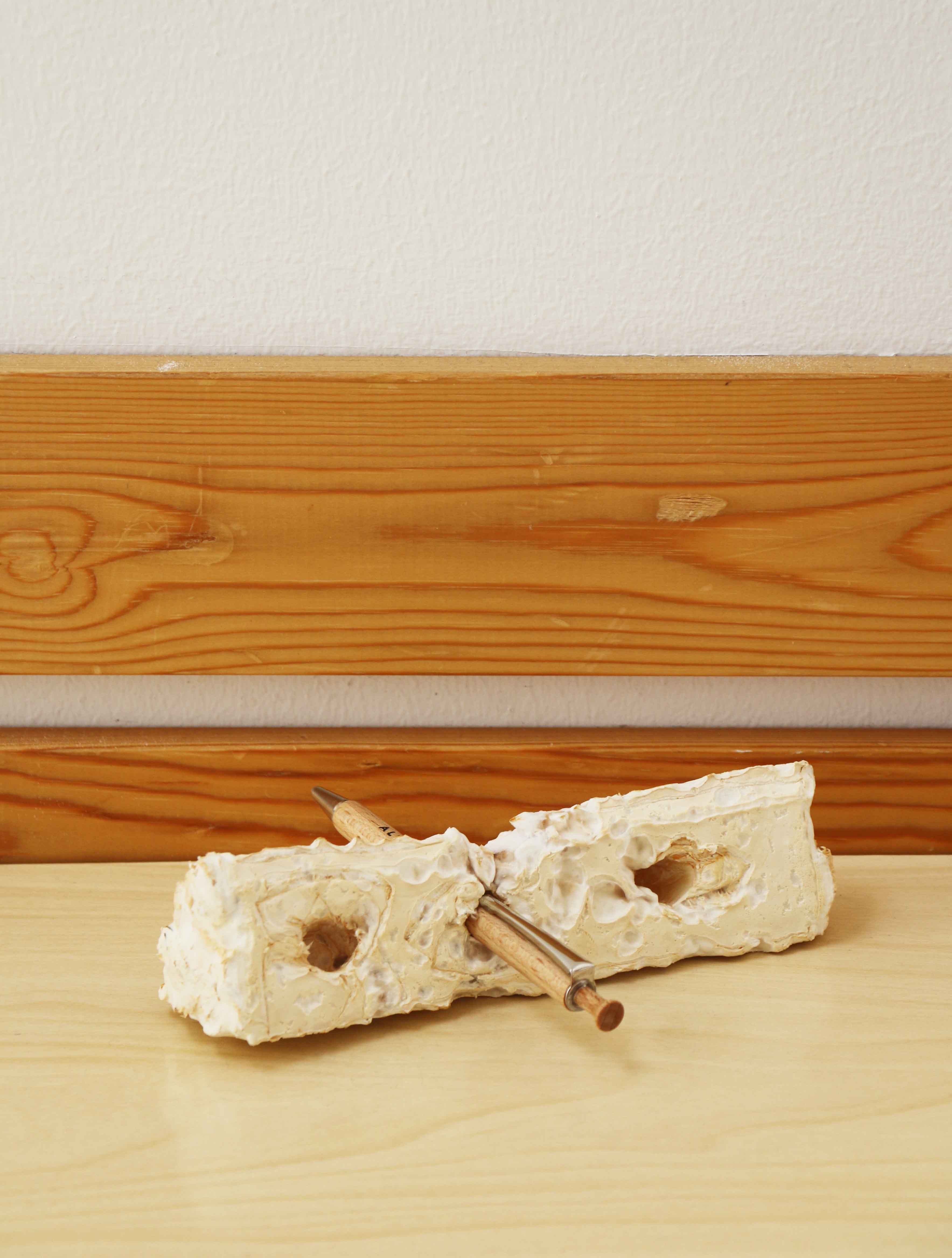 Myelium Product Design