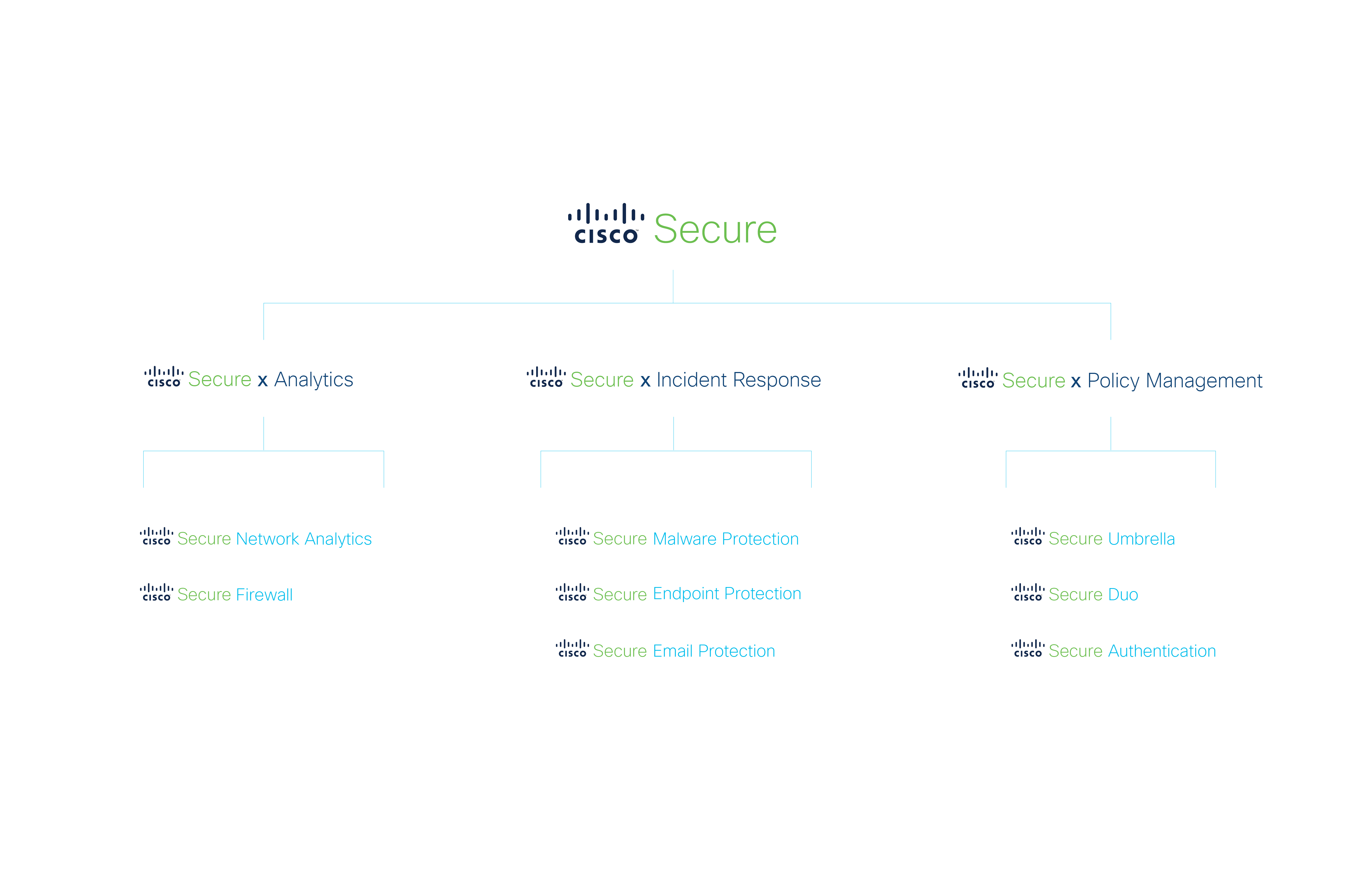 The product line, post-rebrand and commercialization simplification.