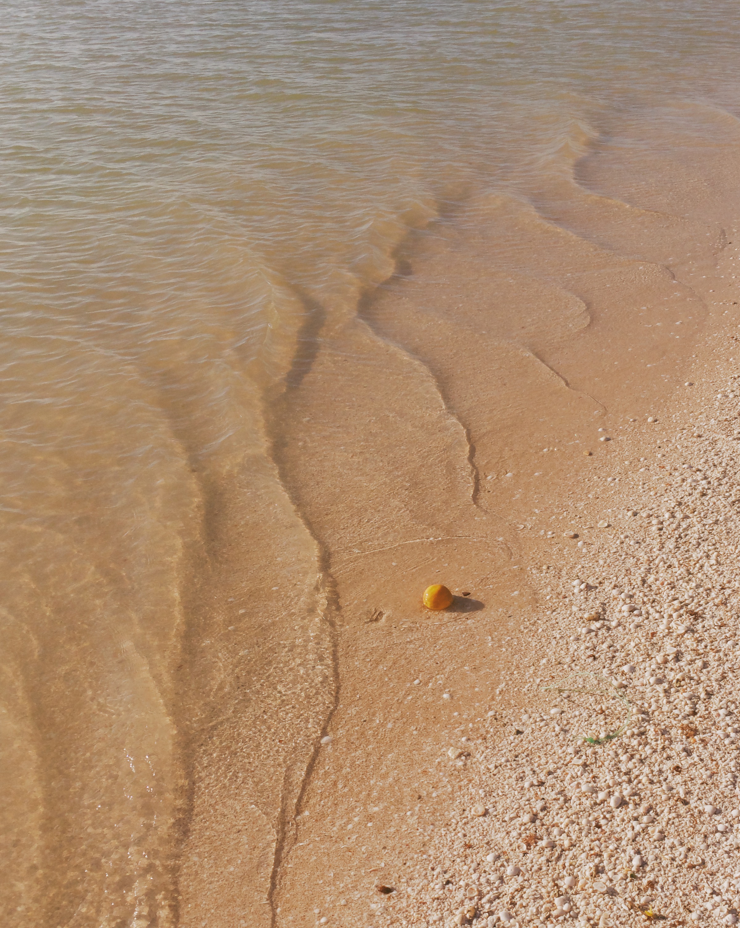 These places don't forget about us, 2019