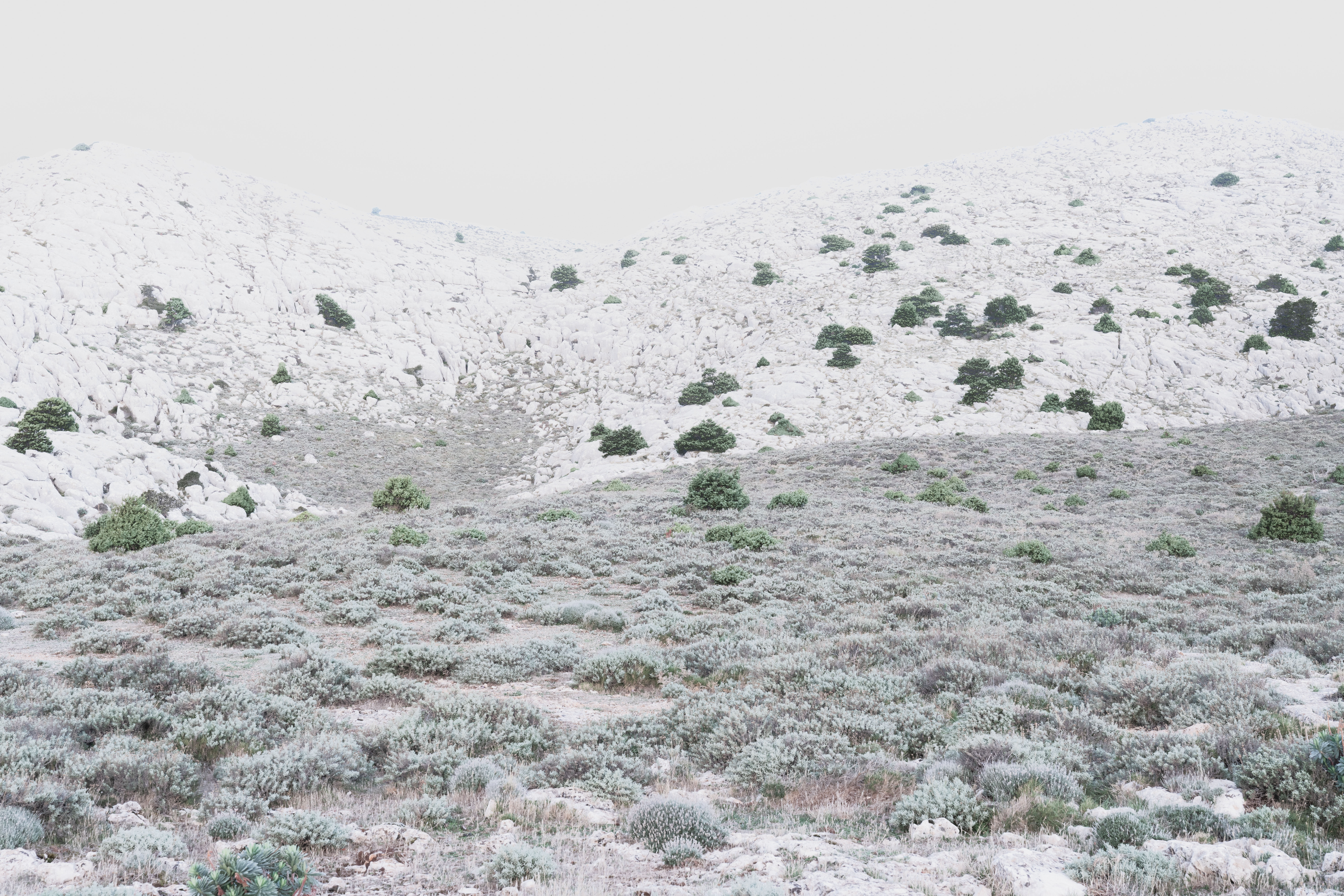 Paolo Riolzi, Supramonte, Oliena, Sardegna, 2024.