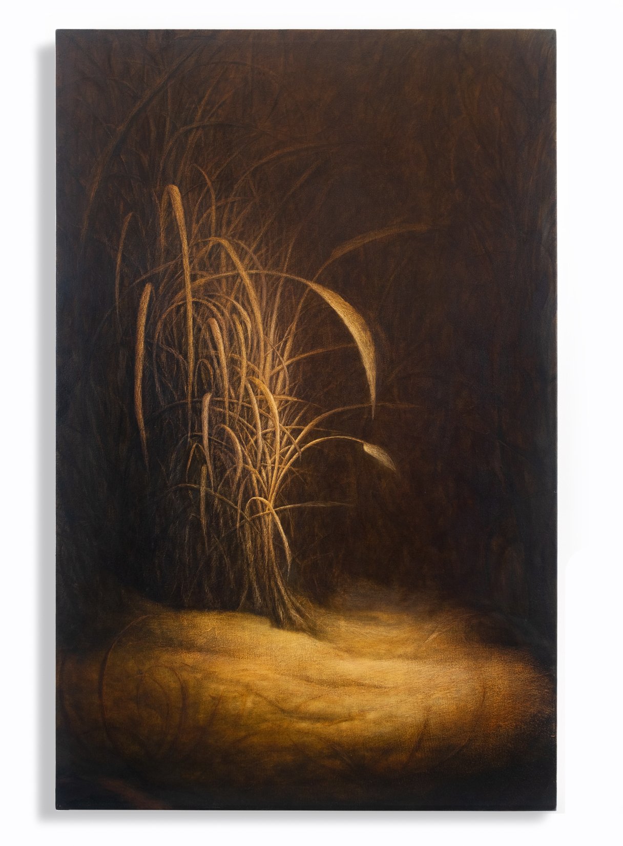 Untitled (Spotlight), 2022-2023, Oil and acrylic medium on canvas,91.4 x 142.2 cm