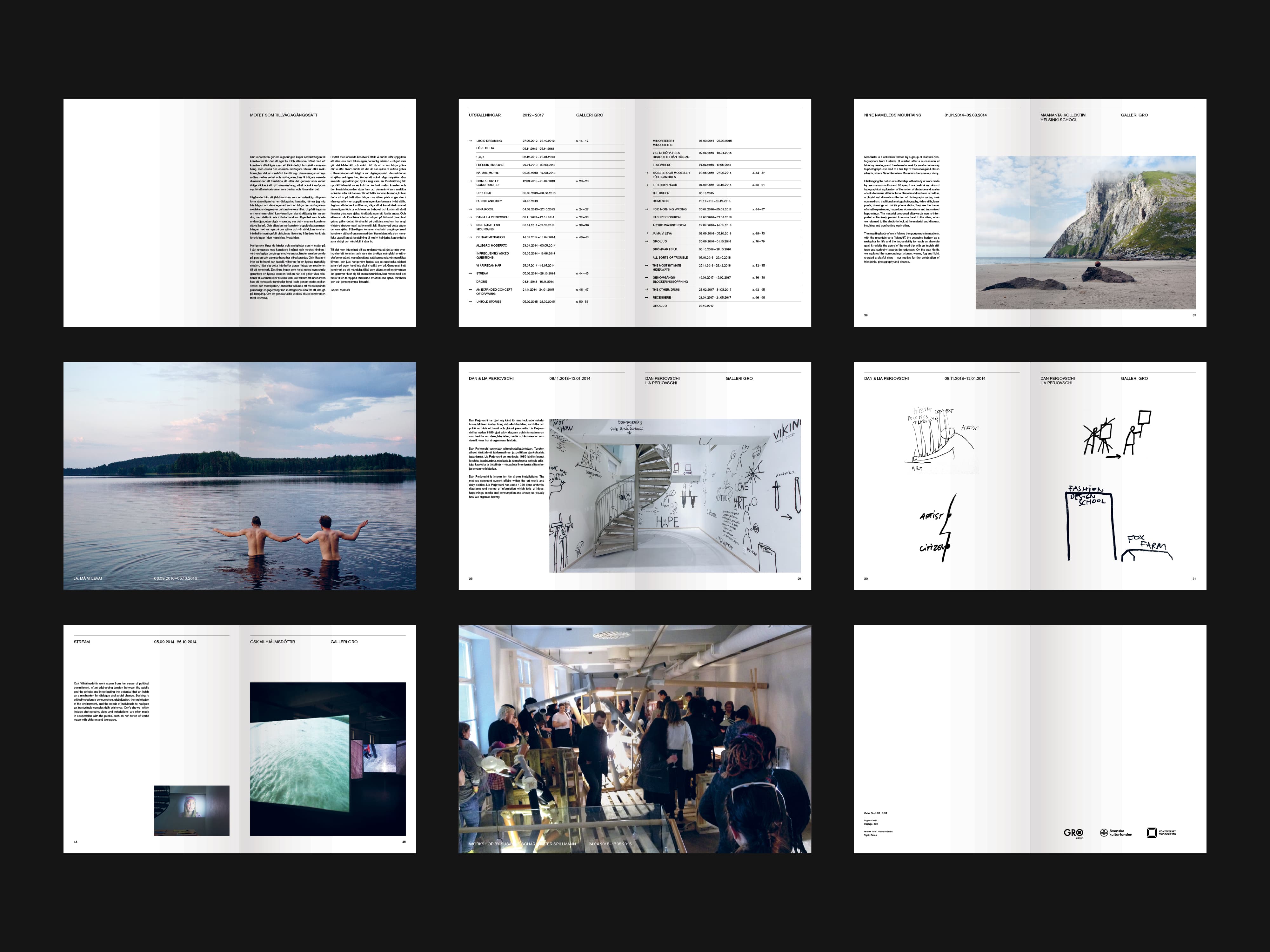 ︎︎︎ Galleri Gro 2012–2017 / editorial  / 2018