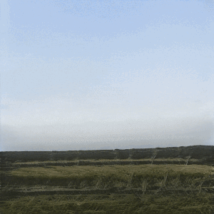 from afar, 2020, AI generated imagery trained on dataset of artist's photographs of Cornwall.