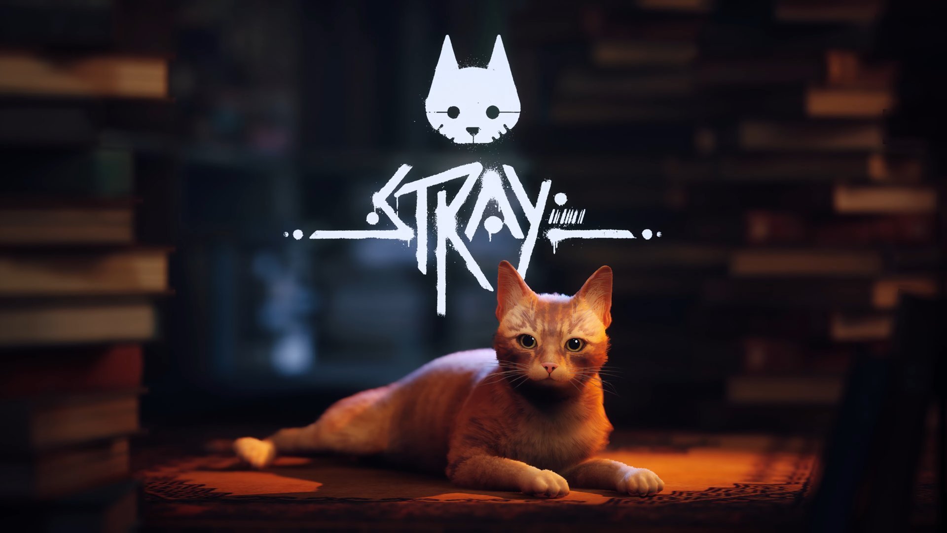 Stray — Newest Cat Game by Clickable Design for Clickable Agency on Dribbble