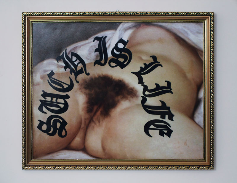 'Kissing Cousins' 2008, Digital C-Type Print, Plastic frame