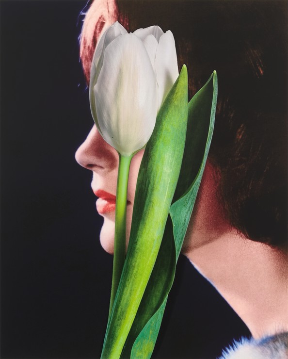 Urs Fischer - White Tulip 2024