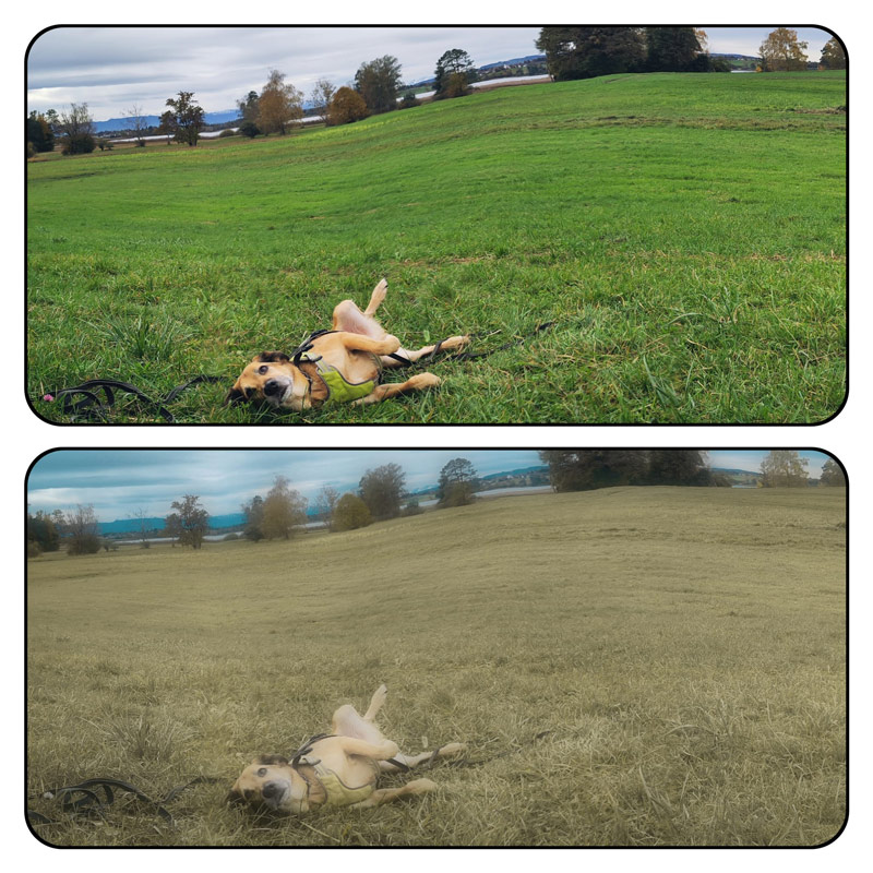 PERSPEKTIVENWECHSEL  von Ramona Bernhard