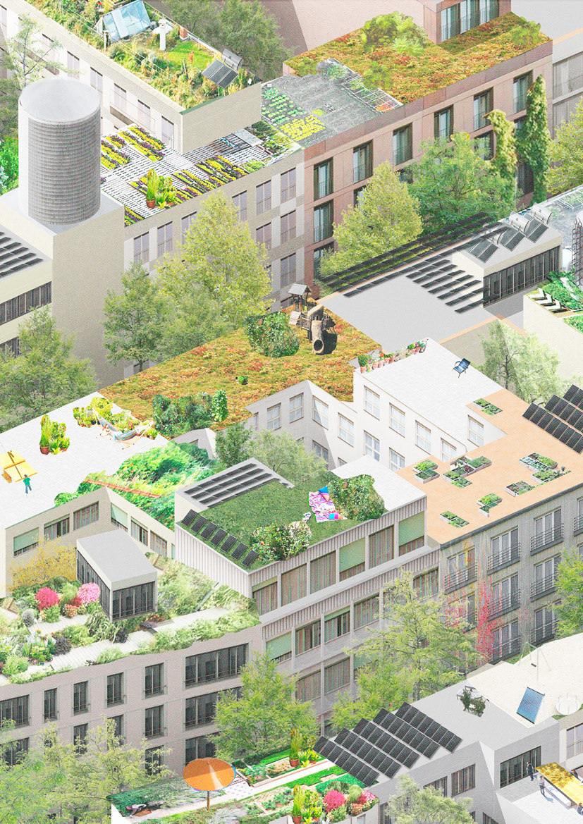 Dominik V&aacute;cha