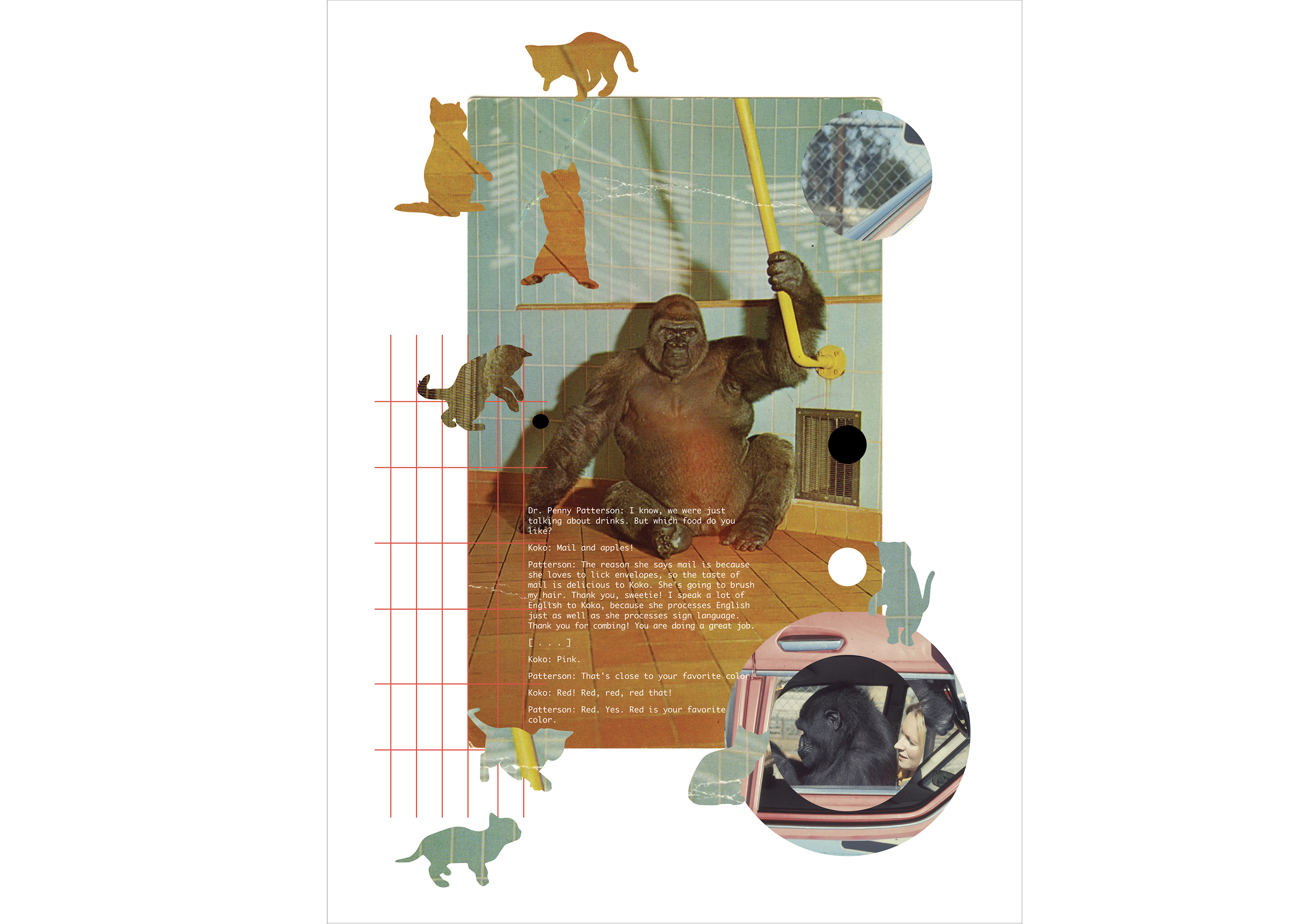 Your Favorite Color is Red, collage inkjet print