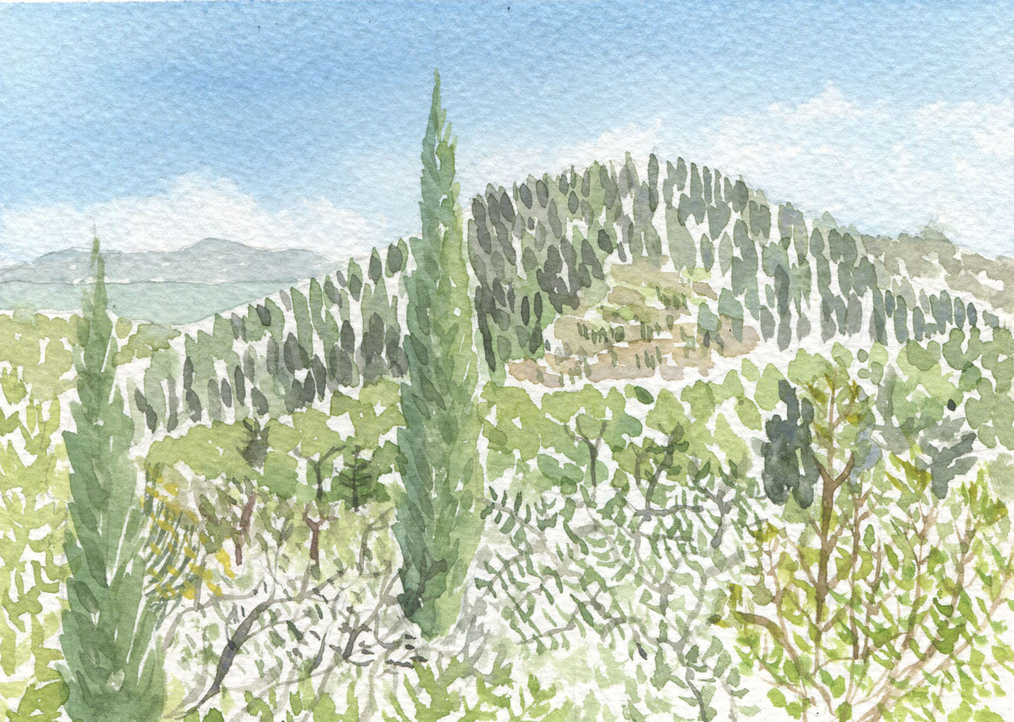 6. Paxos (12.5x17cms) sold