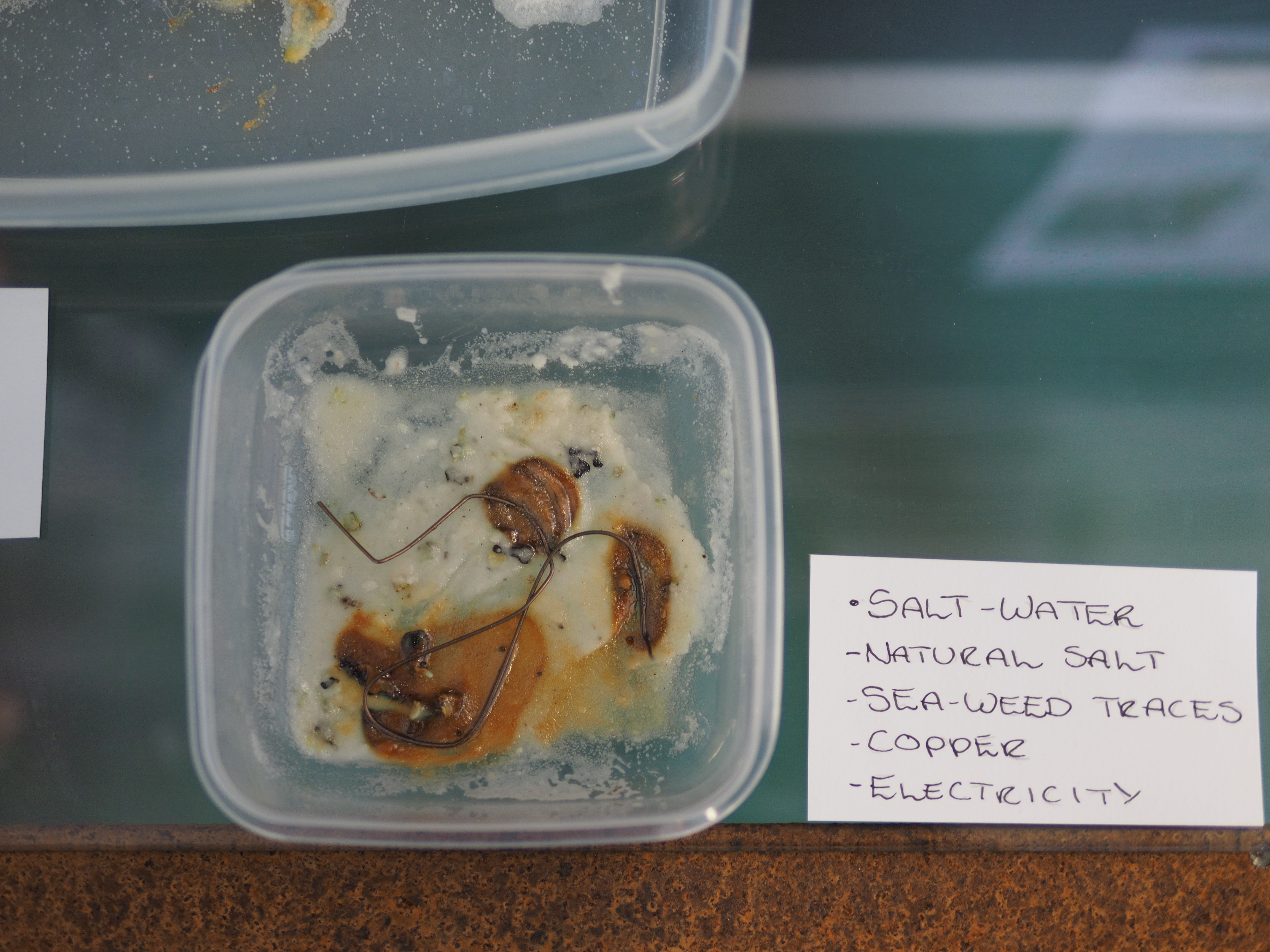 Christine Hagatun- Michele-Marie Letelier