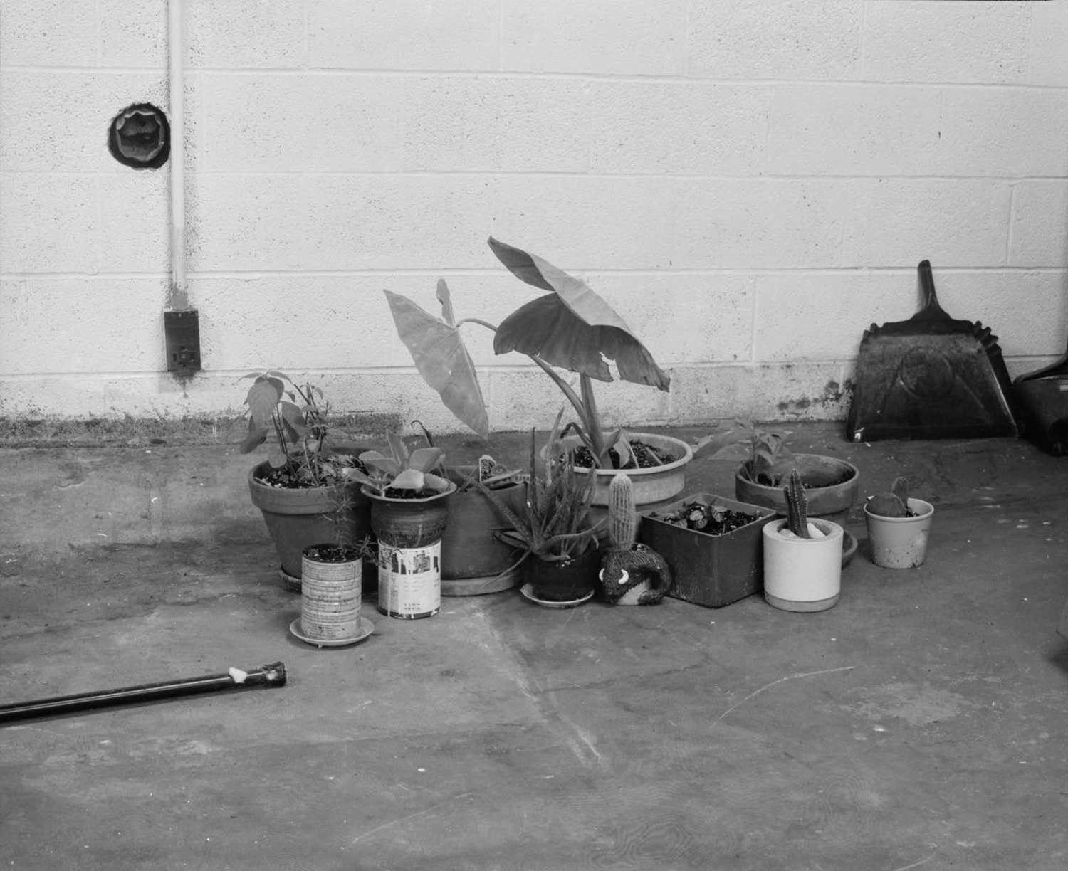 Out of the rain, Greensboro, North Carolina