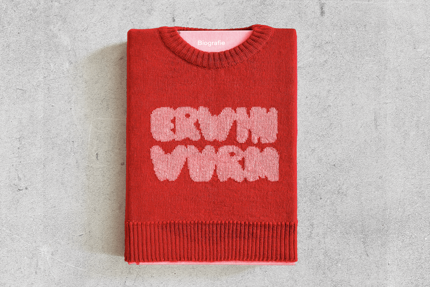 ERWIN WURM Book Design Special Edition