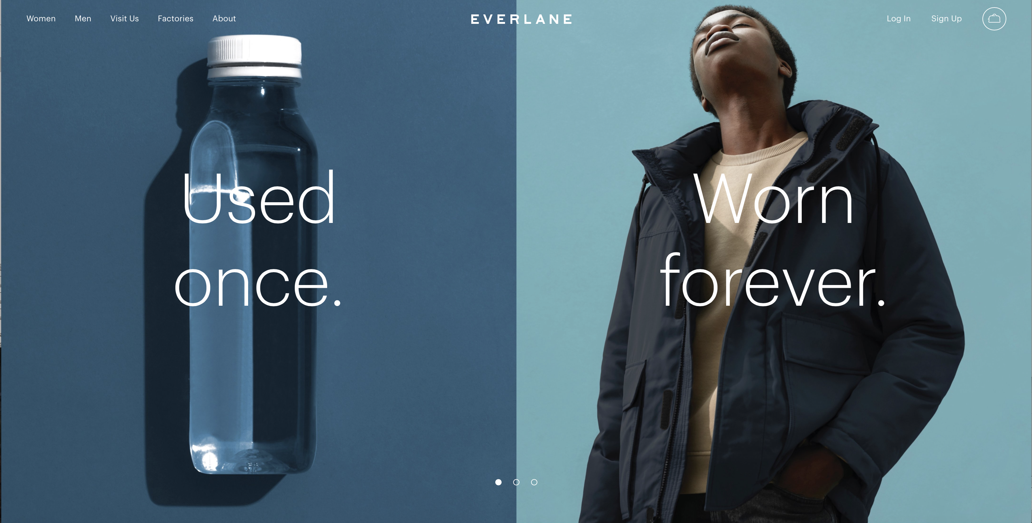 Everlane ReNew - Poirier