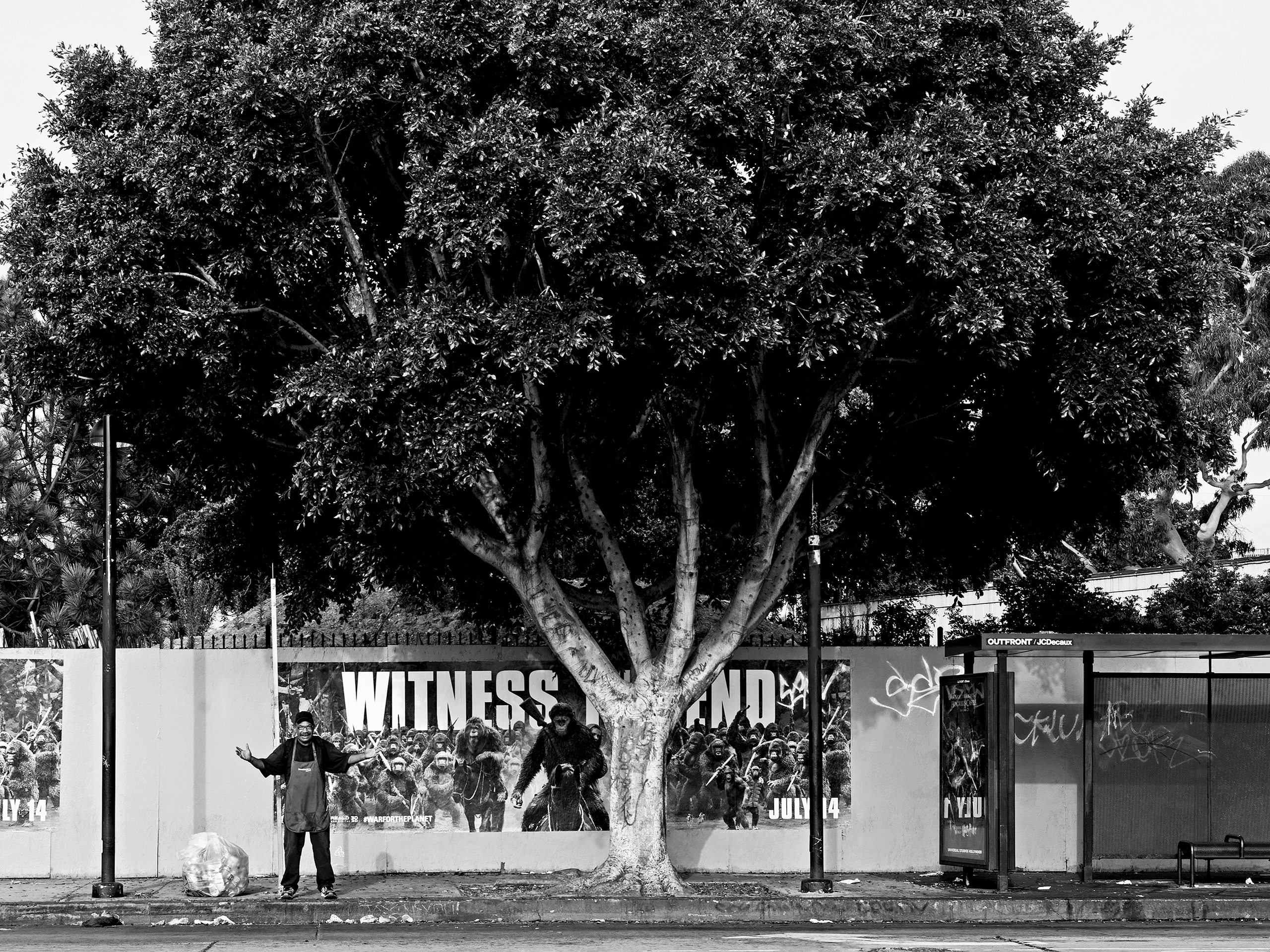 Homeless smiling under a big treeLos Angeles, United States, 2017photography, bw, single
