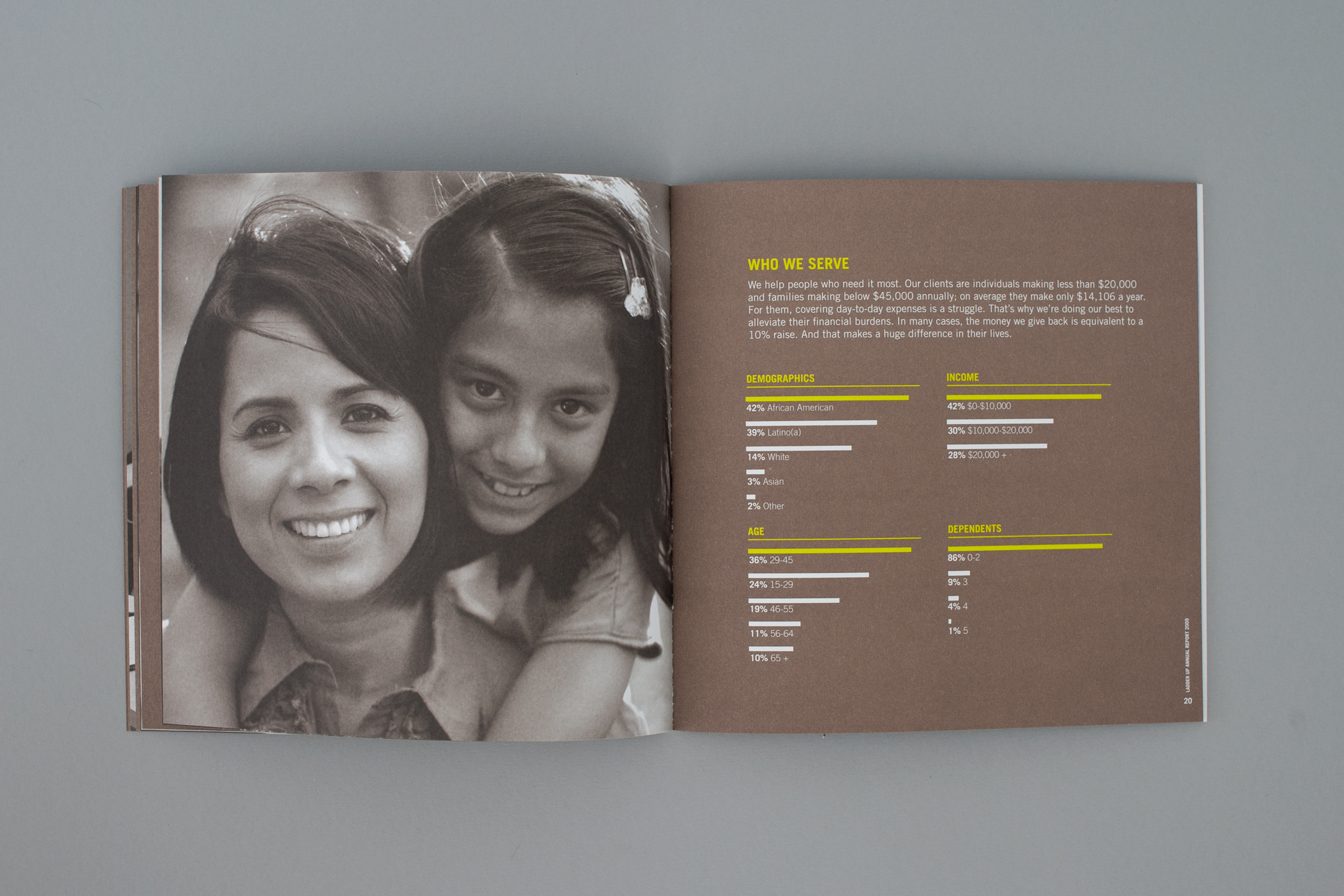 The McQuades, McQuade Inc, Design, Branding, Nonprofit, foundation, Ladder Up, Annual Report, Financial, Chicago, Richmond, Virginia, Infographic