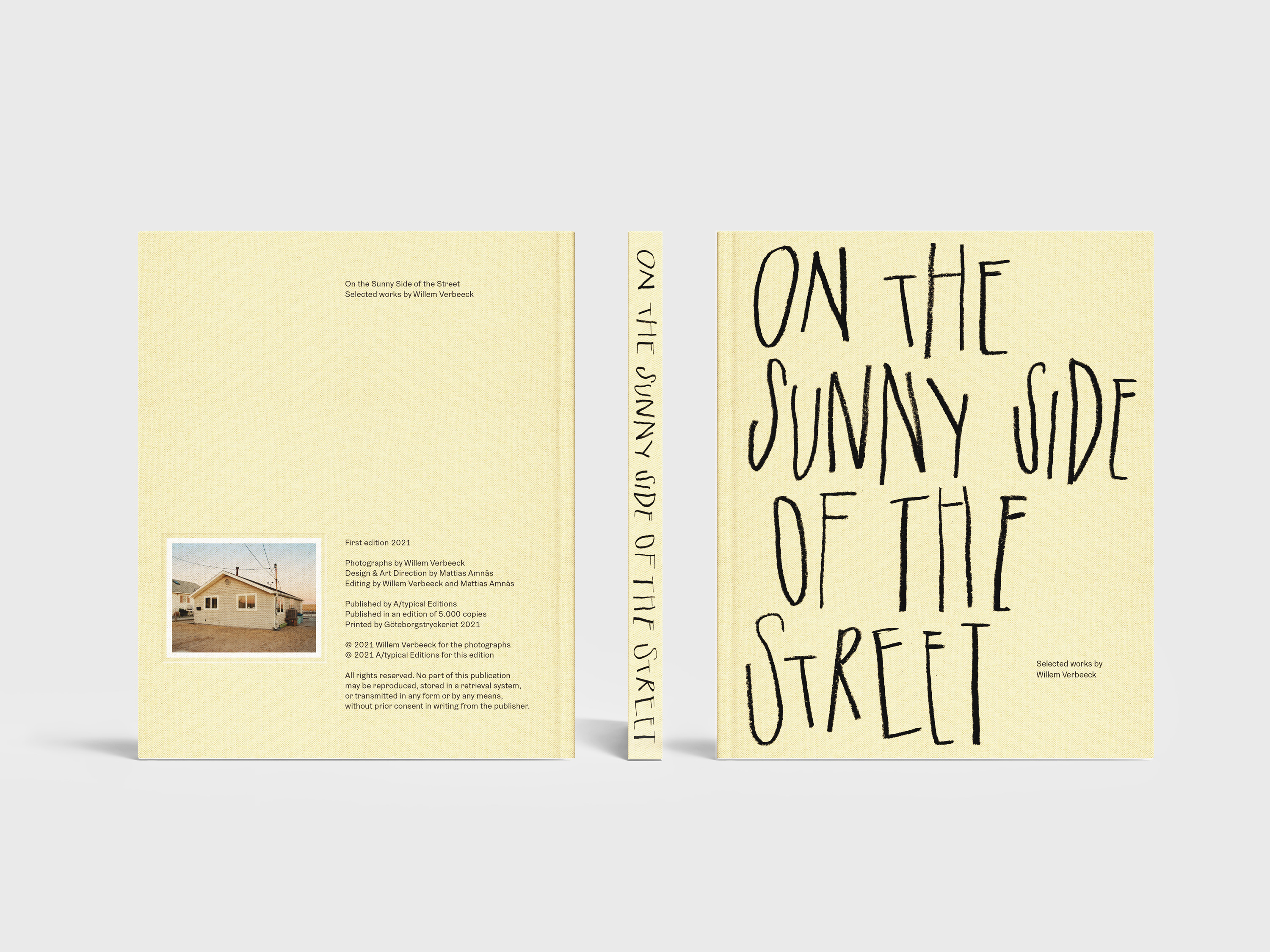 sunny side up book pdf