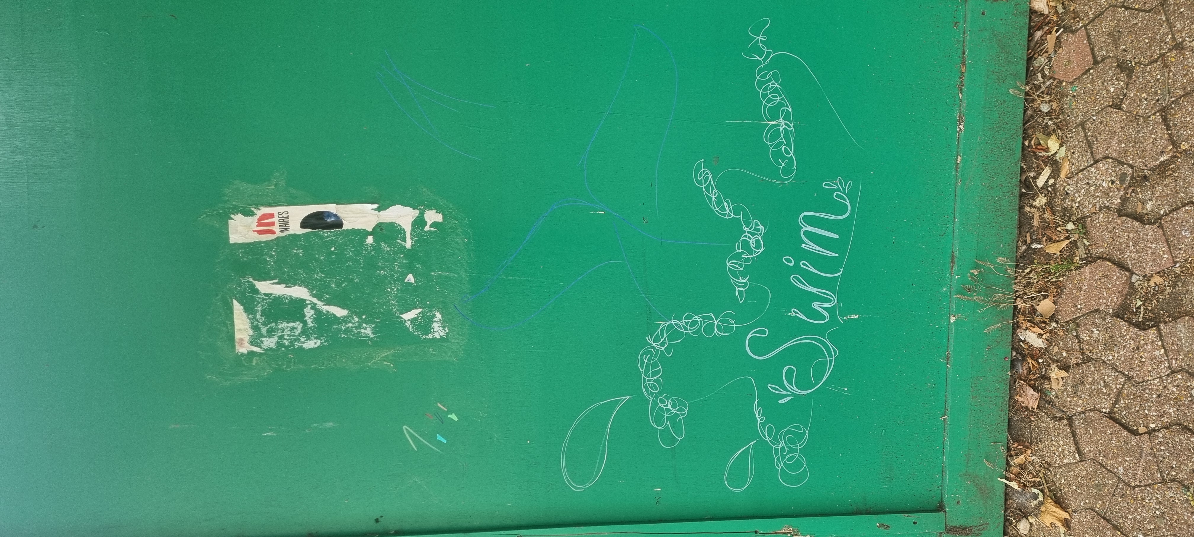 Artwork by artist Sophia