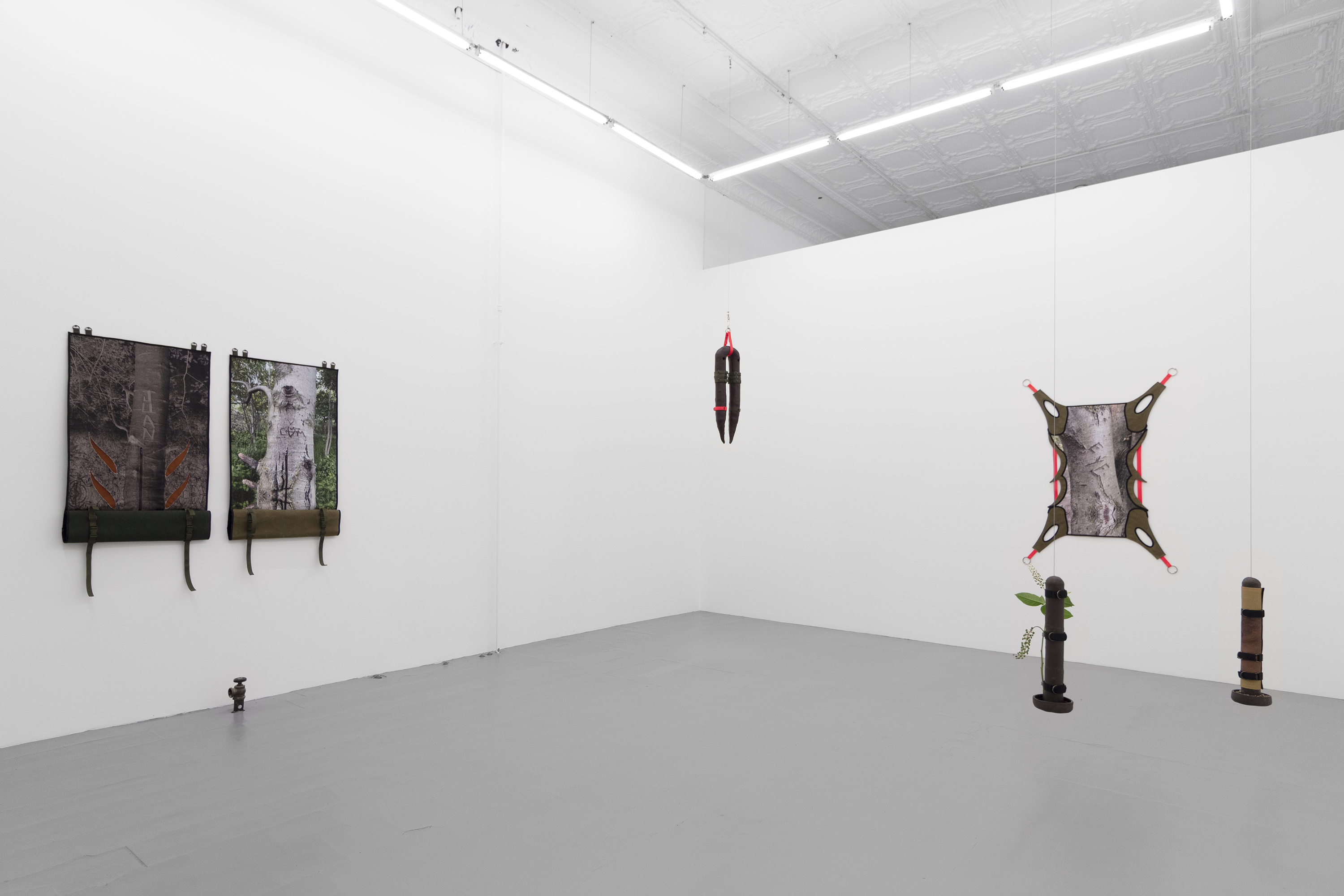 Teaching a perv how to eat honeysuckle, exhibition views. Photography: Prairie