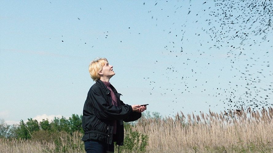 Bruce Sudano - In Shadowland