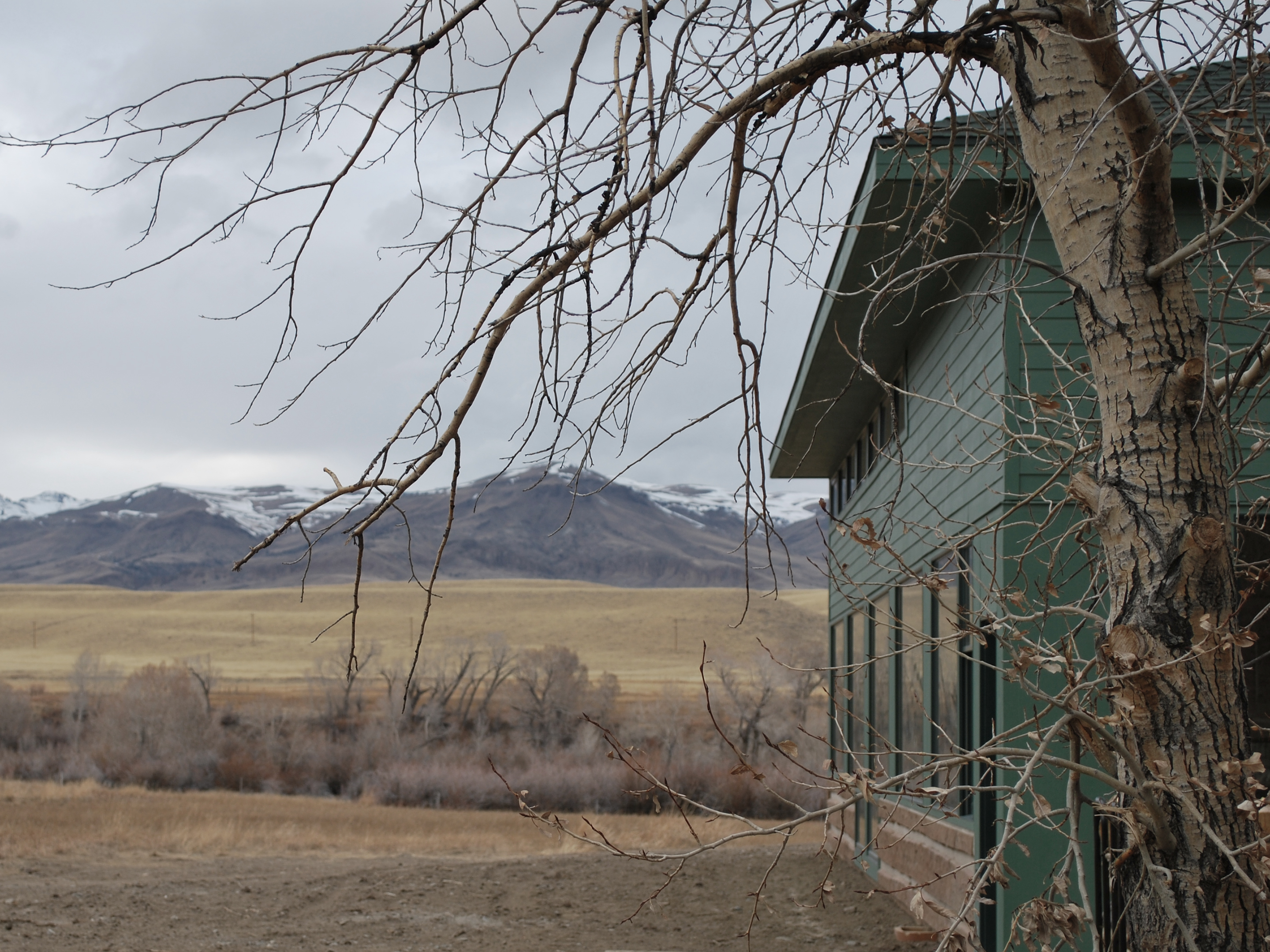 Greybull River Lodge, Meeteetse, WY