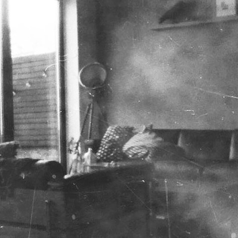 Eileen White, one week during lockdown