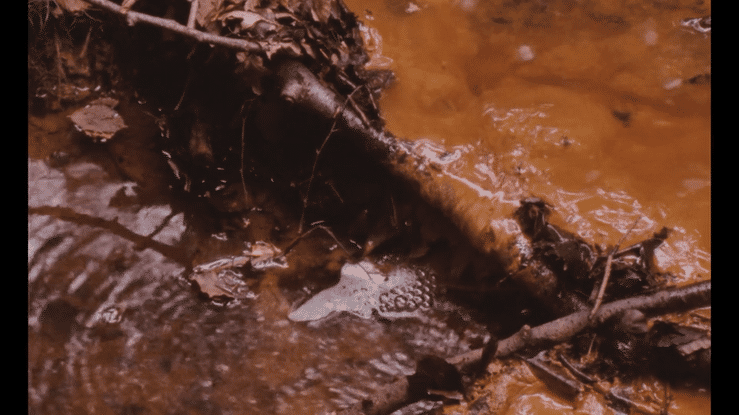 cleave to the Black (2022) 16mm