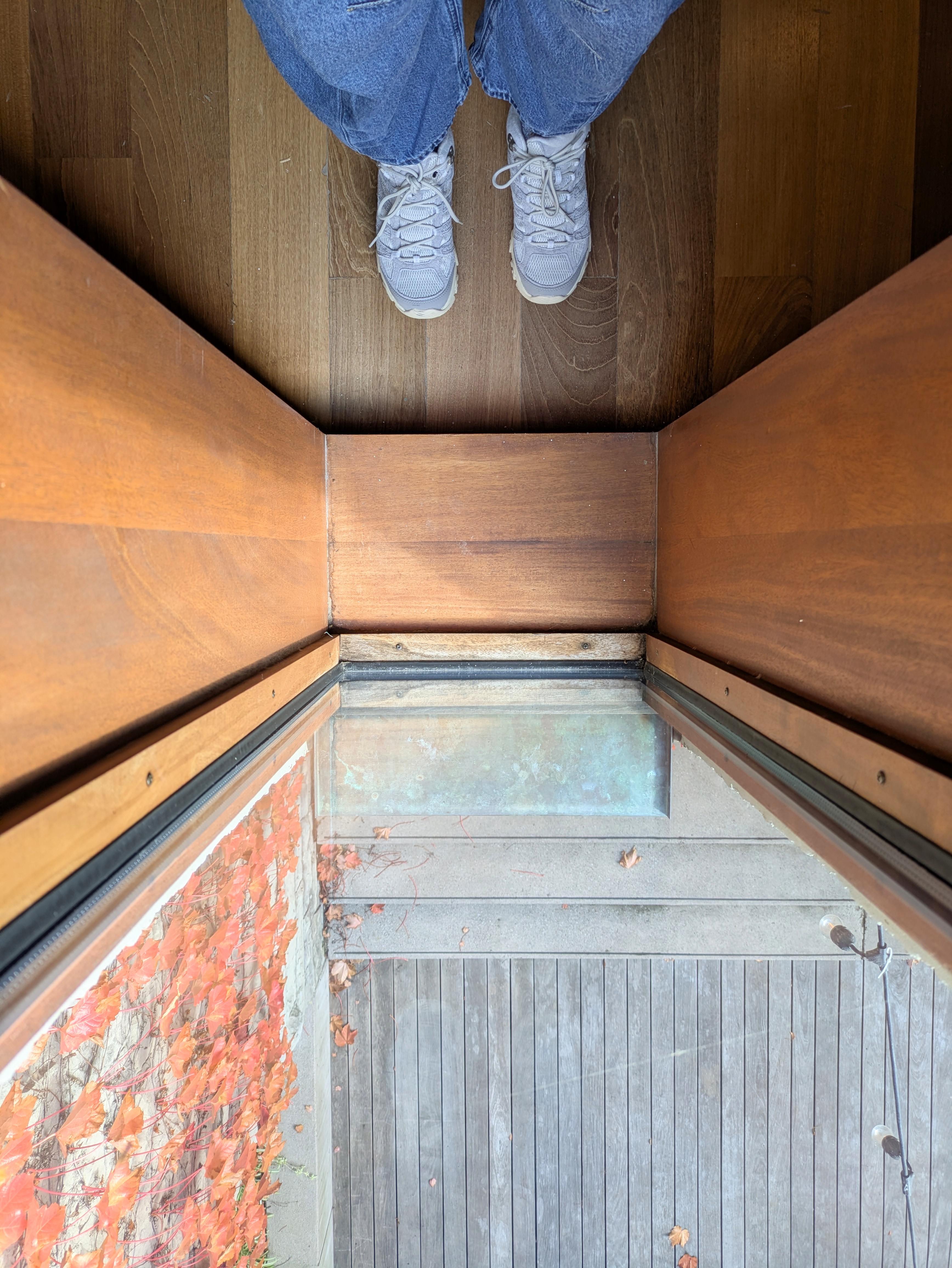 Oct 24, 2025: Windowed, MacLaren Art Centre