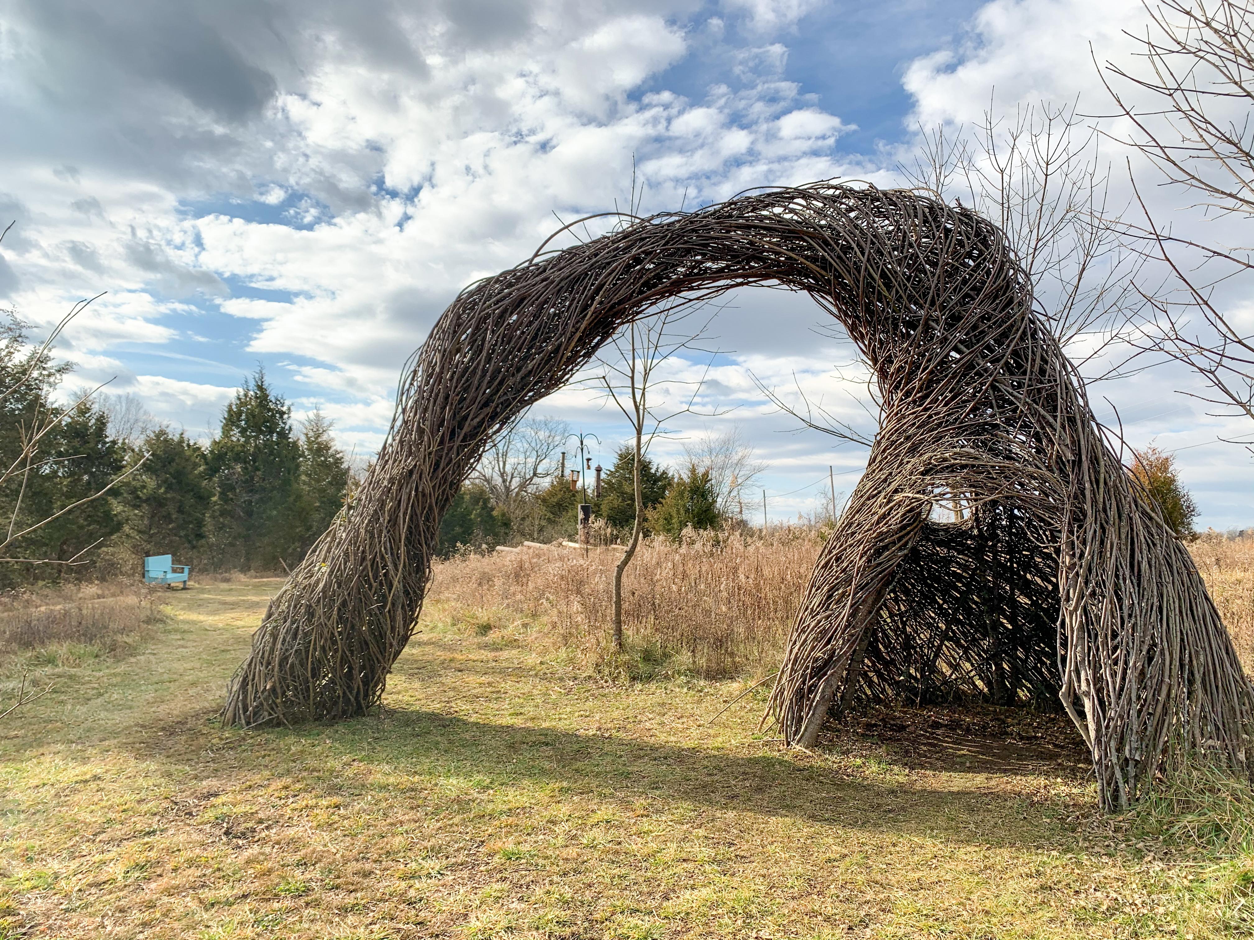 The artwork, Sounds of a Whipporwill, like a large birds nest there is a hut like structure made entirely of thin branches that one or two people might sit underneath. The hut it a kind of pyramid, but the tip, instead of ending in the sky, arcs back around and connects again with the ground 10-15 feet away from the entrance to the hut. It seems from far away like a long dangling elf’s-hat.