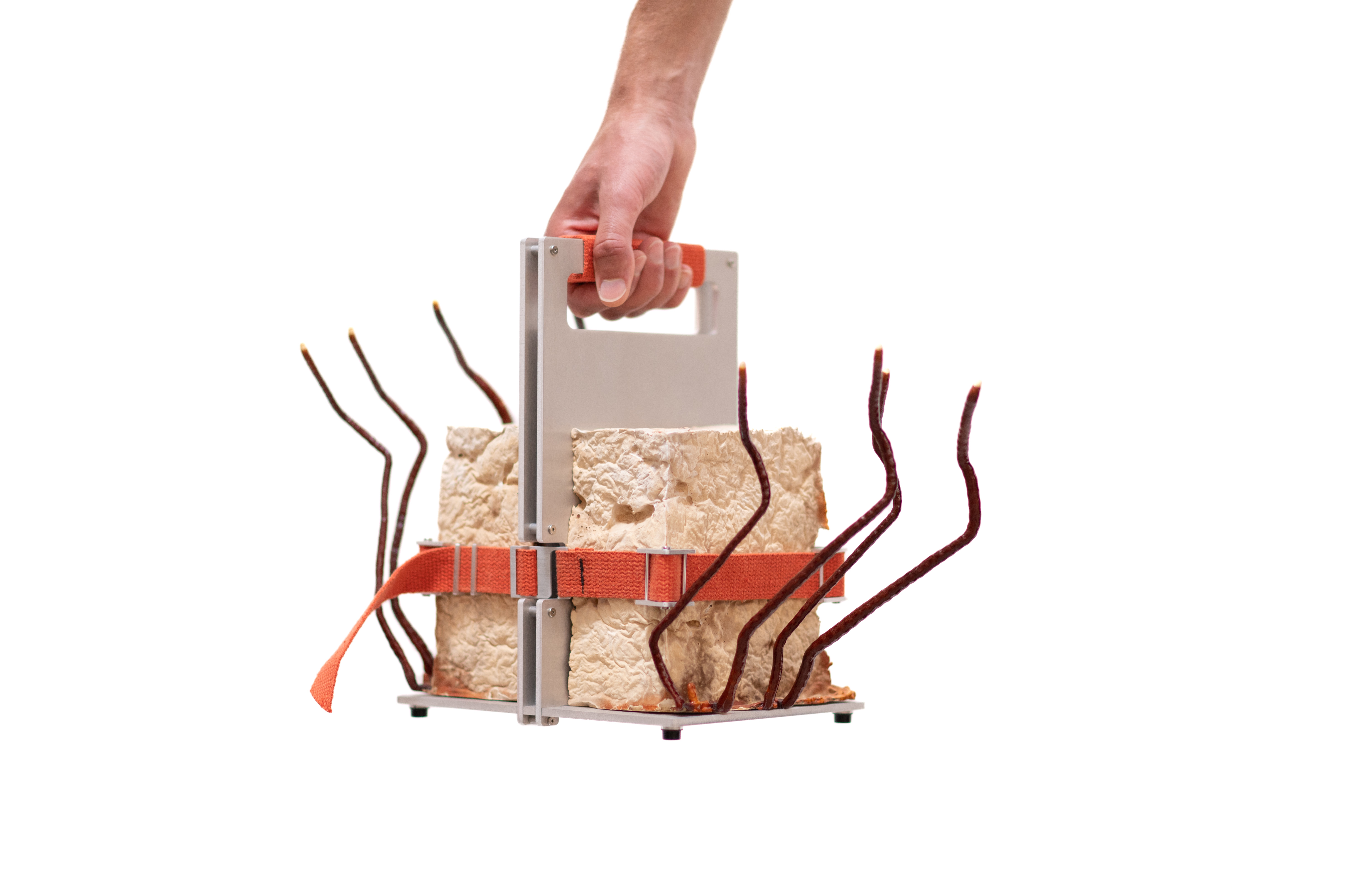 Sporewear Series 2022 sculpture mycelium