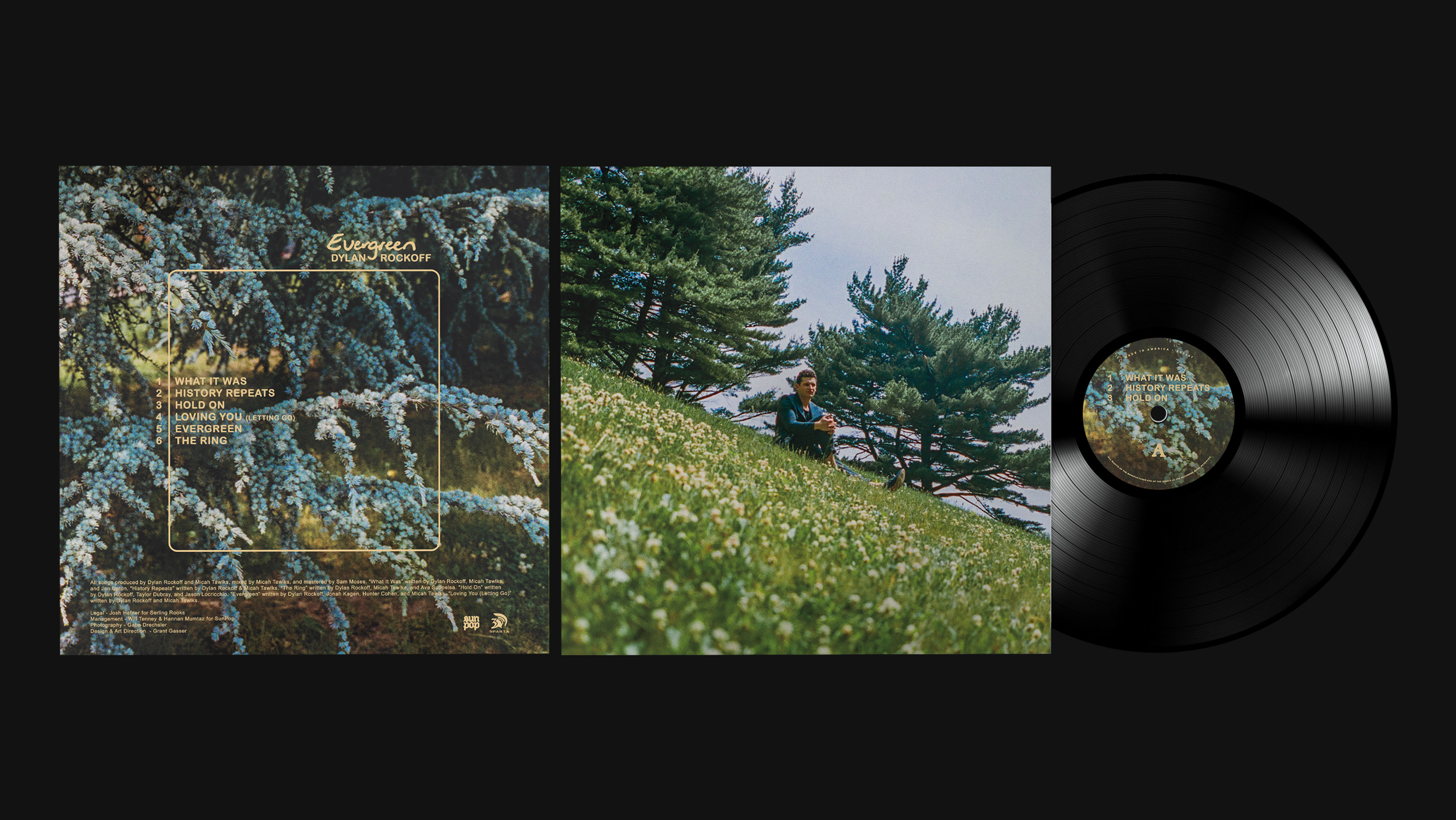 Evergreen by Dylan Rockoff, 2024