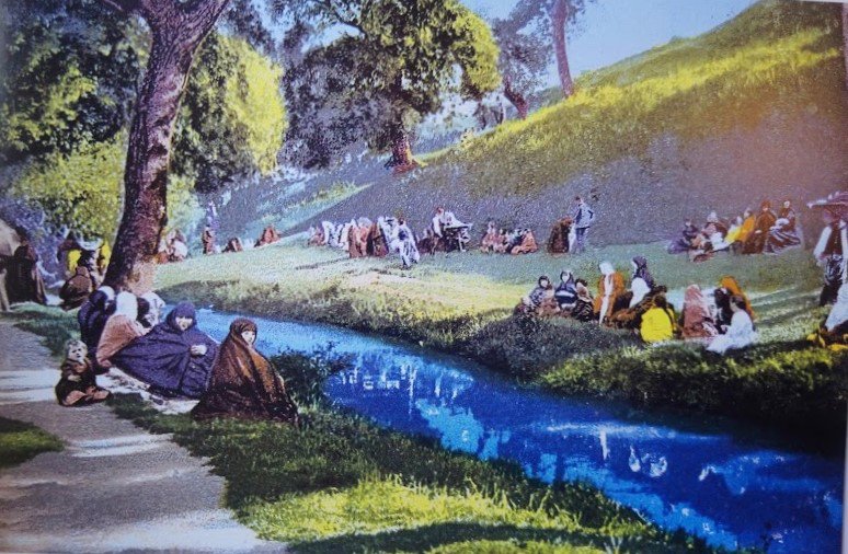Figure 1 - Beykoz Çayırı [Beykoz Meadow], İstanbul Bahçeleri.