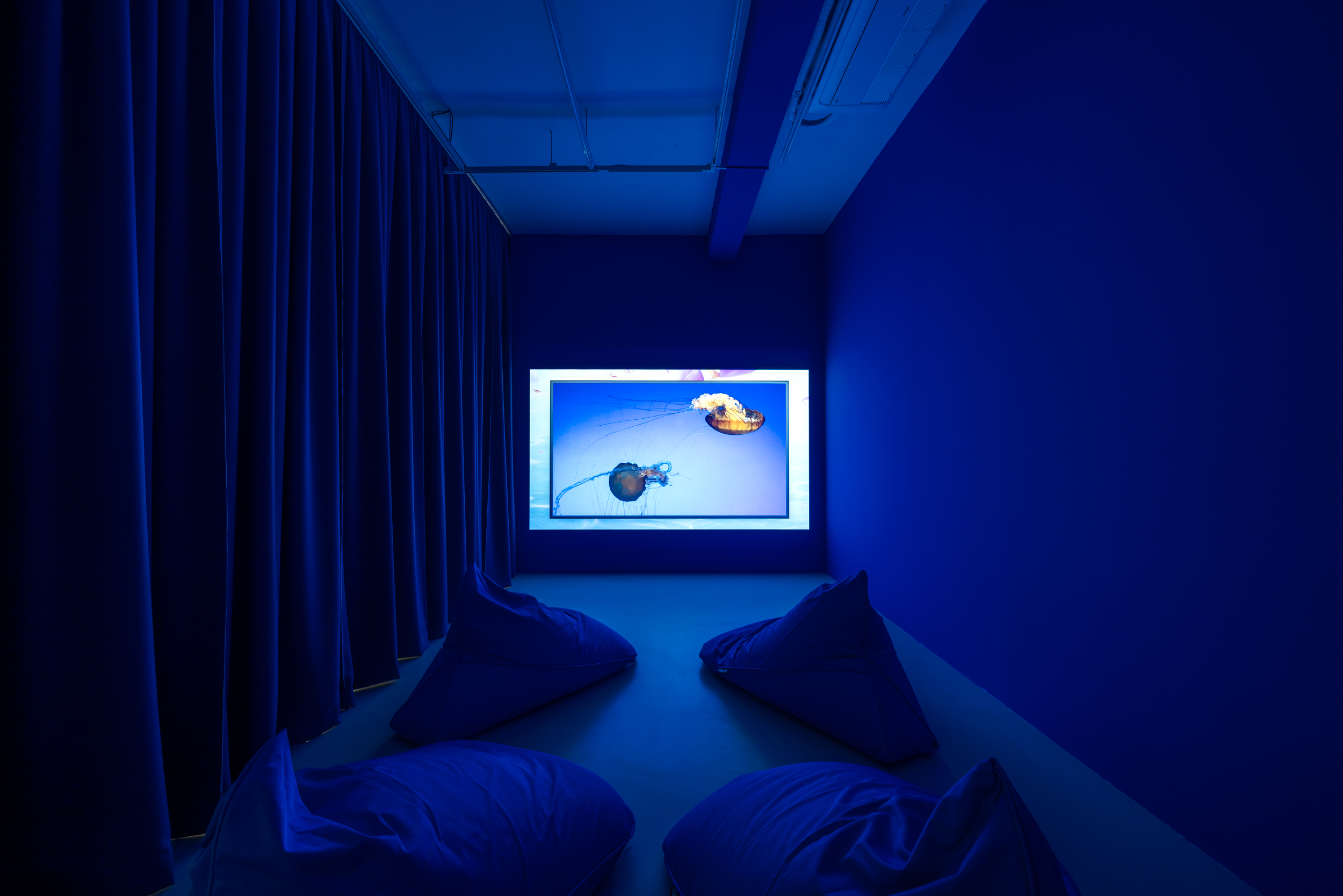 파라 알 카시미 [블루 데저트 온라인(Blue Desert Online)]